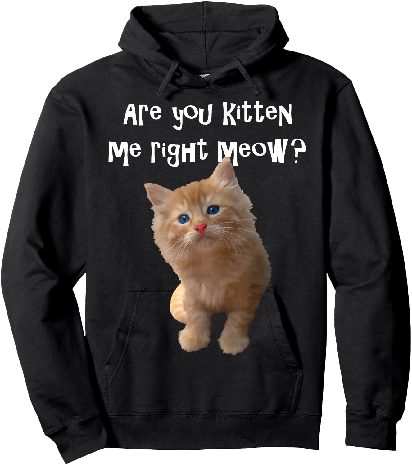 Are You Kitten Me Right Meow? Hoodie - Hoodie | Black