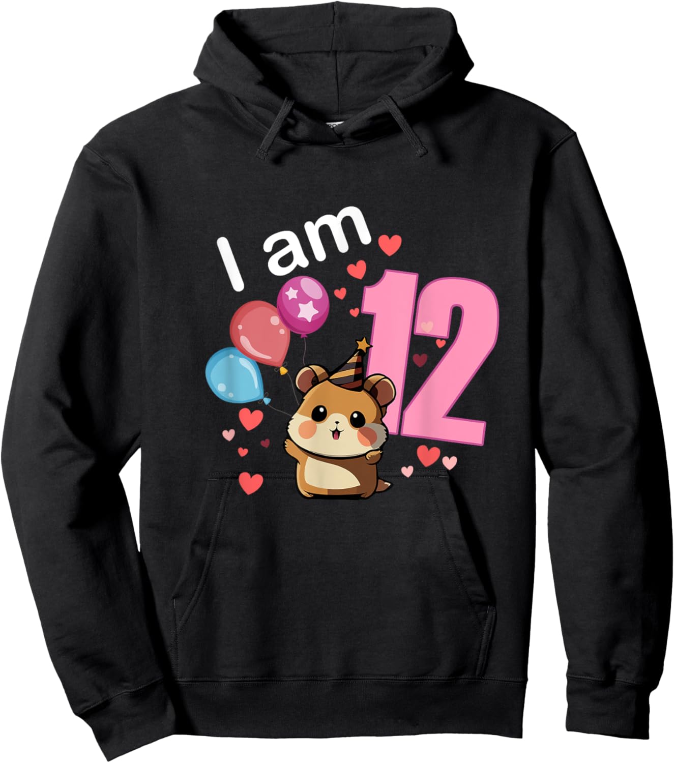 My 12th Birthday Hamster Pet Lovers Party Gifts 12 Years Old Hoodie - Hoodie | Black