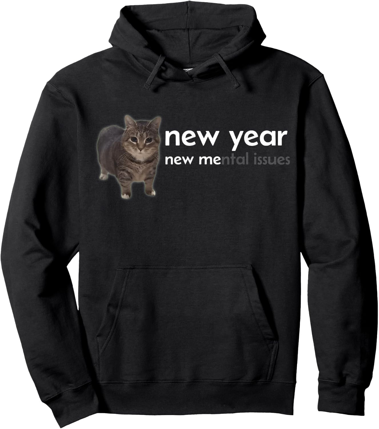 New Year New Me Funny Oiia Oiia Cat Meme Graphic Hoodie - Hoodie | Black