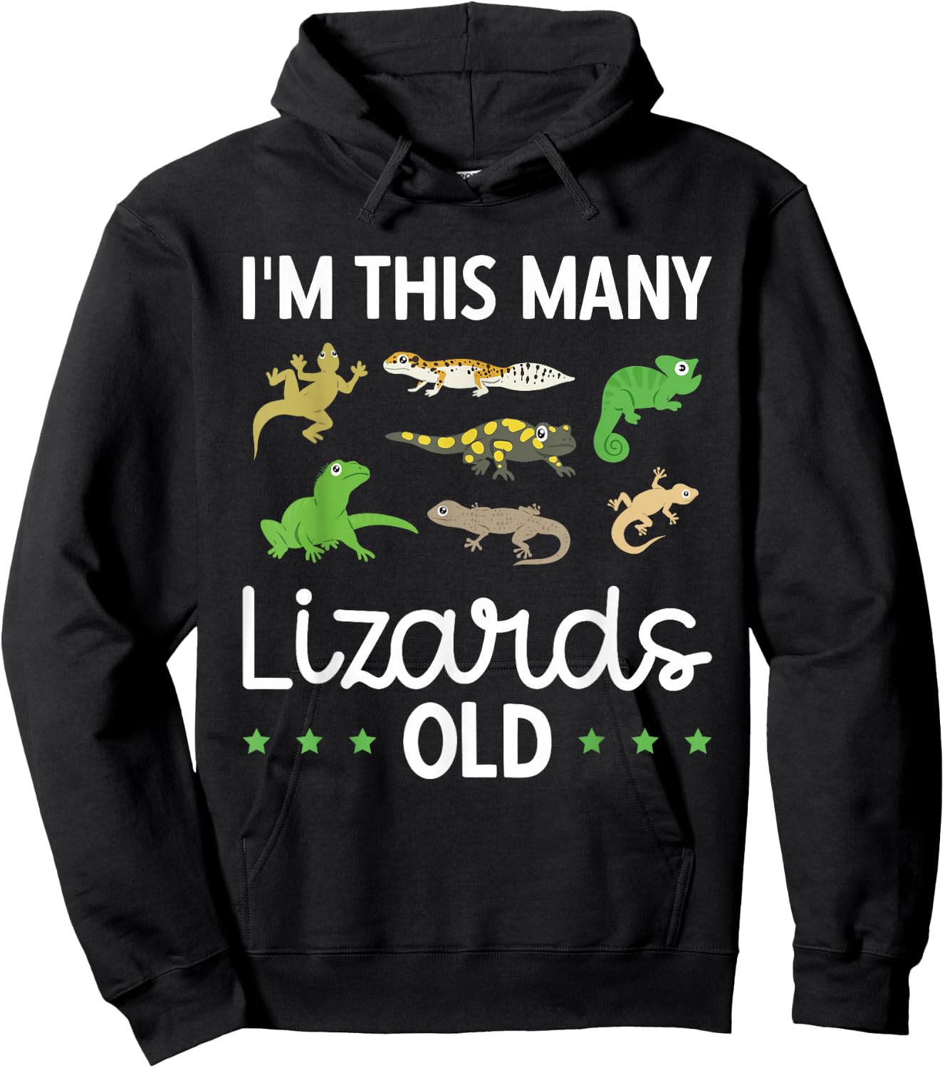 Children's Reptile Lizard Birthday Hoodie - Hoodie | Black