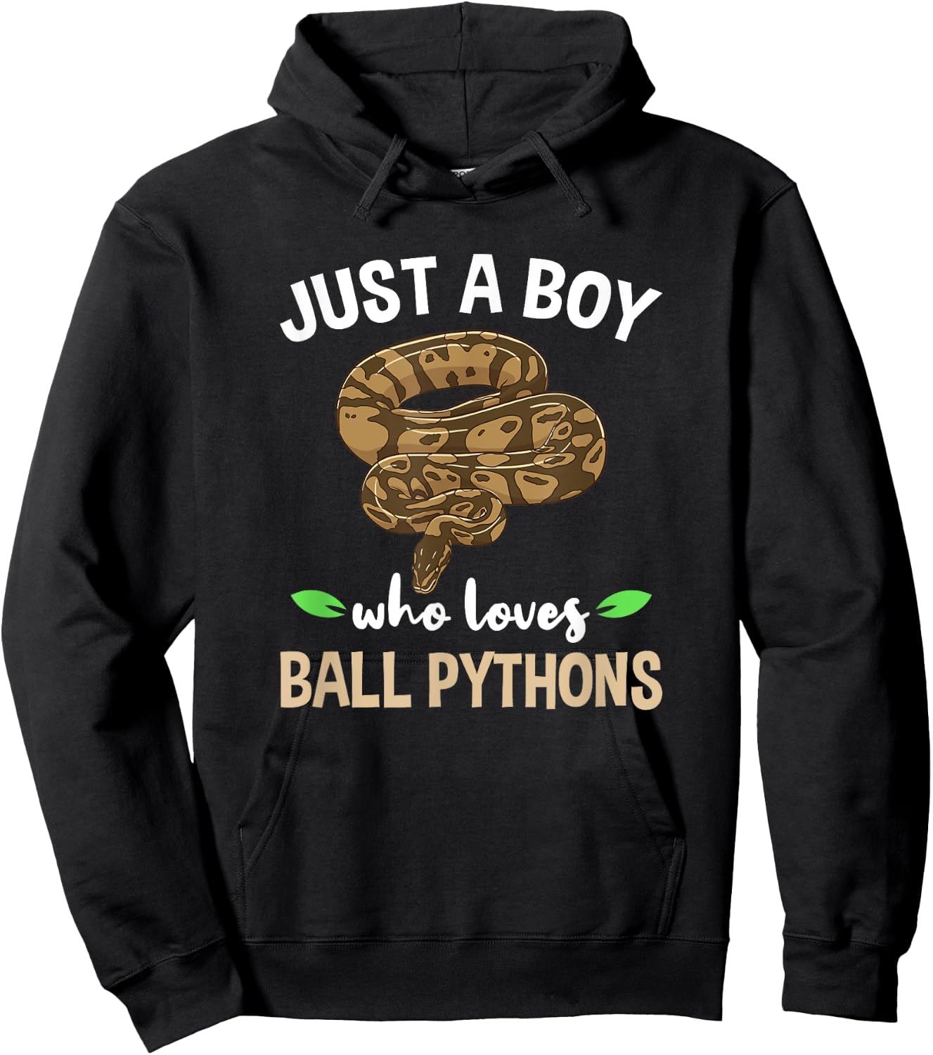 Just A Boy Who Loves Ball Pythons Hoodie - Hoodie | Black