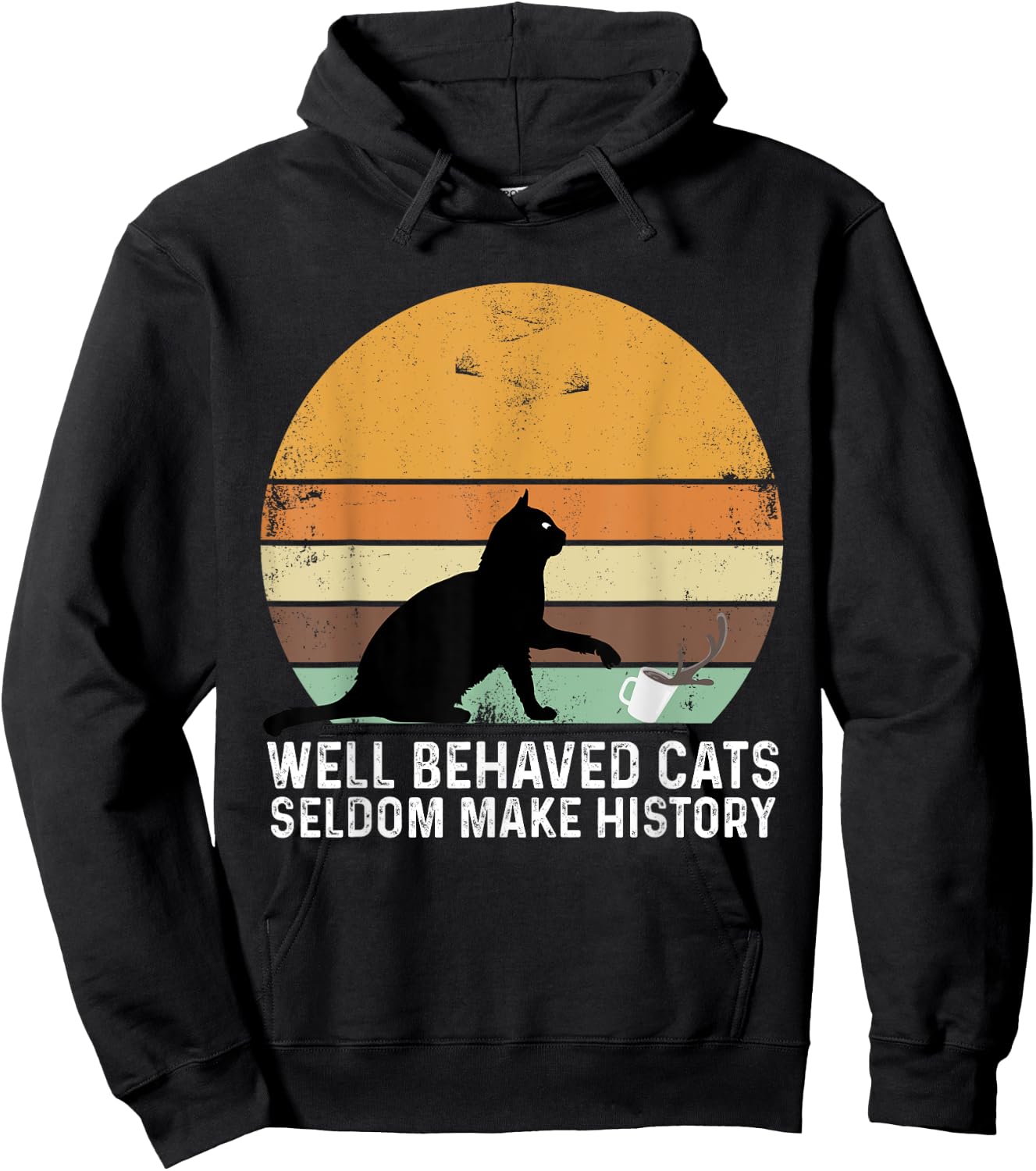 Well Behaved Cats Seldom Make History Cat Owner Pet Kitty Women Hoodie - Hoodie | Black