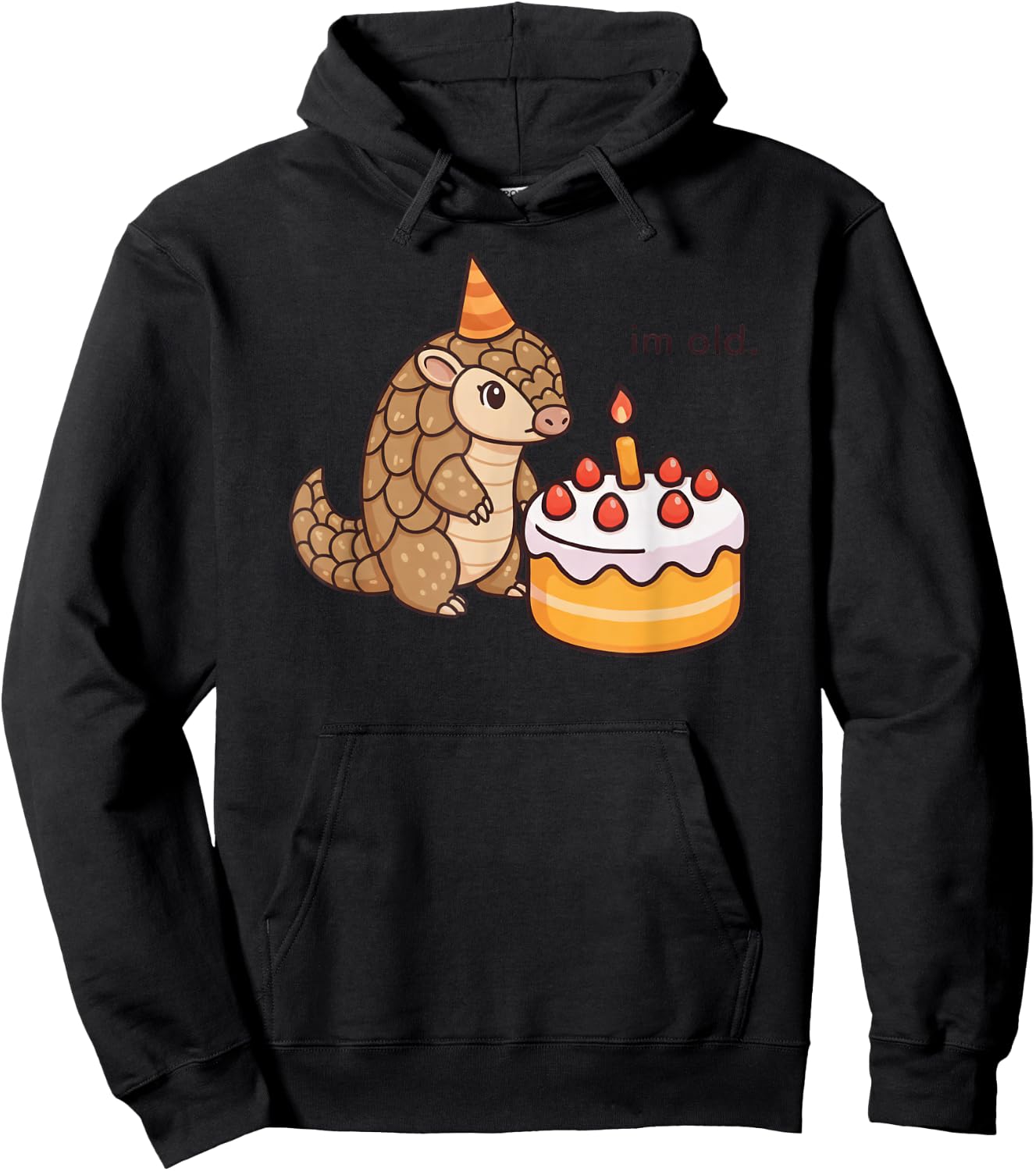 Funny Pangolin Birthday Im Old Bday Cake Animal Boys Girls Hoodie - Hoodie | Black