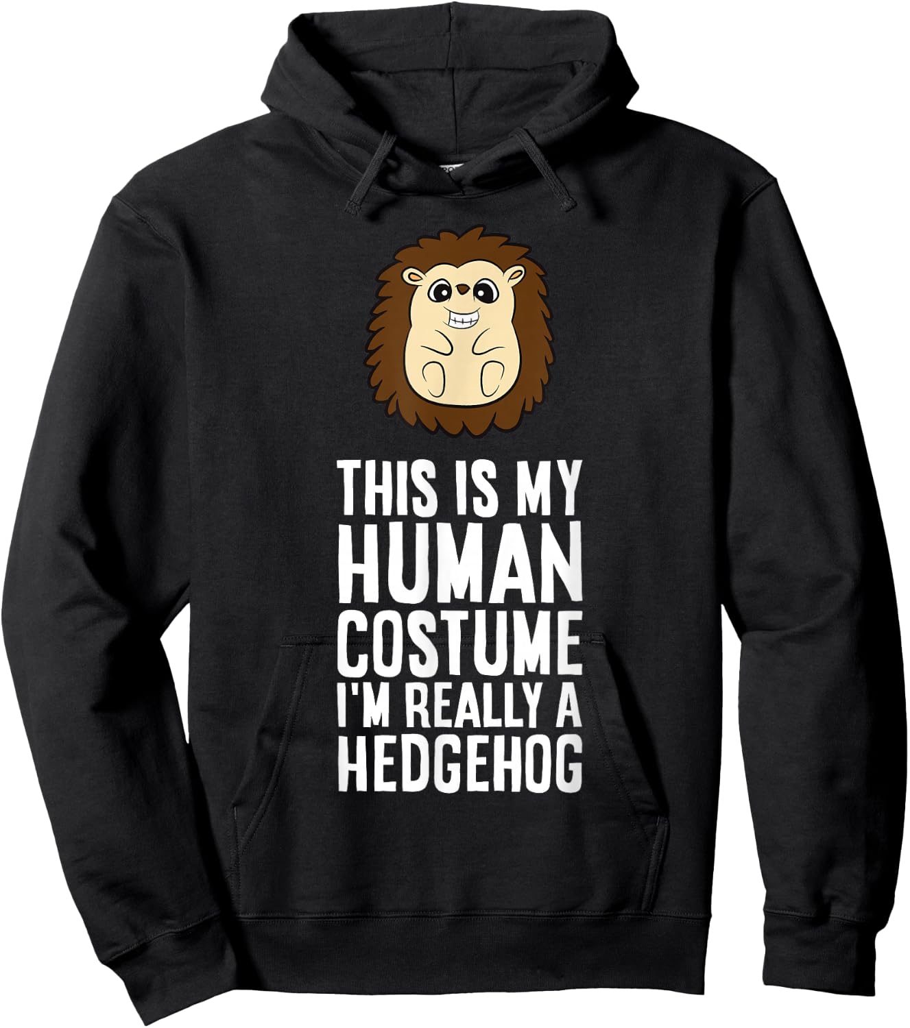 This is My Human Costume I'm Really A Hedgehog Hoodie - Hoodie | Black