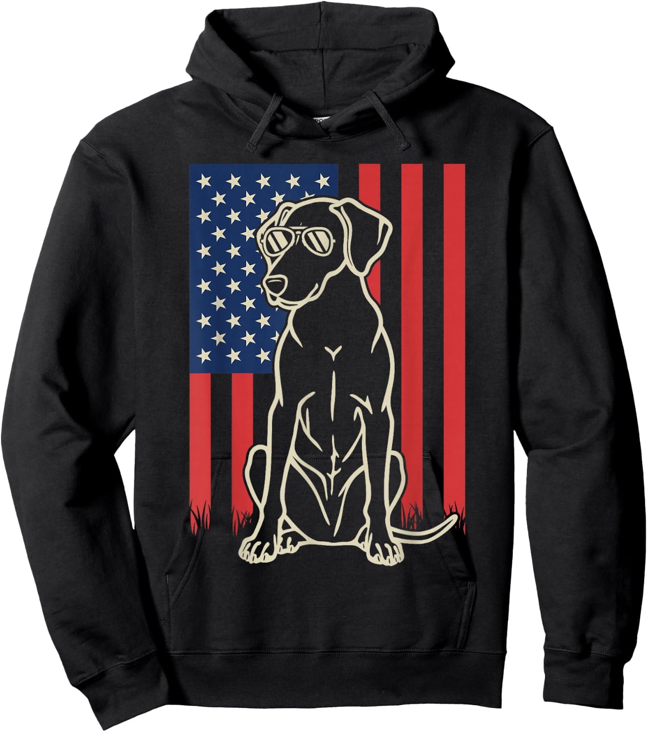 Catahoula Leopard Dog Lover 4th of July Hoodie - Hoodie | Black