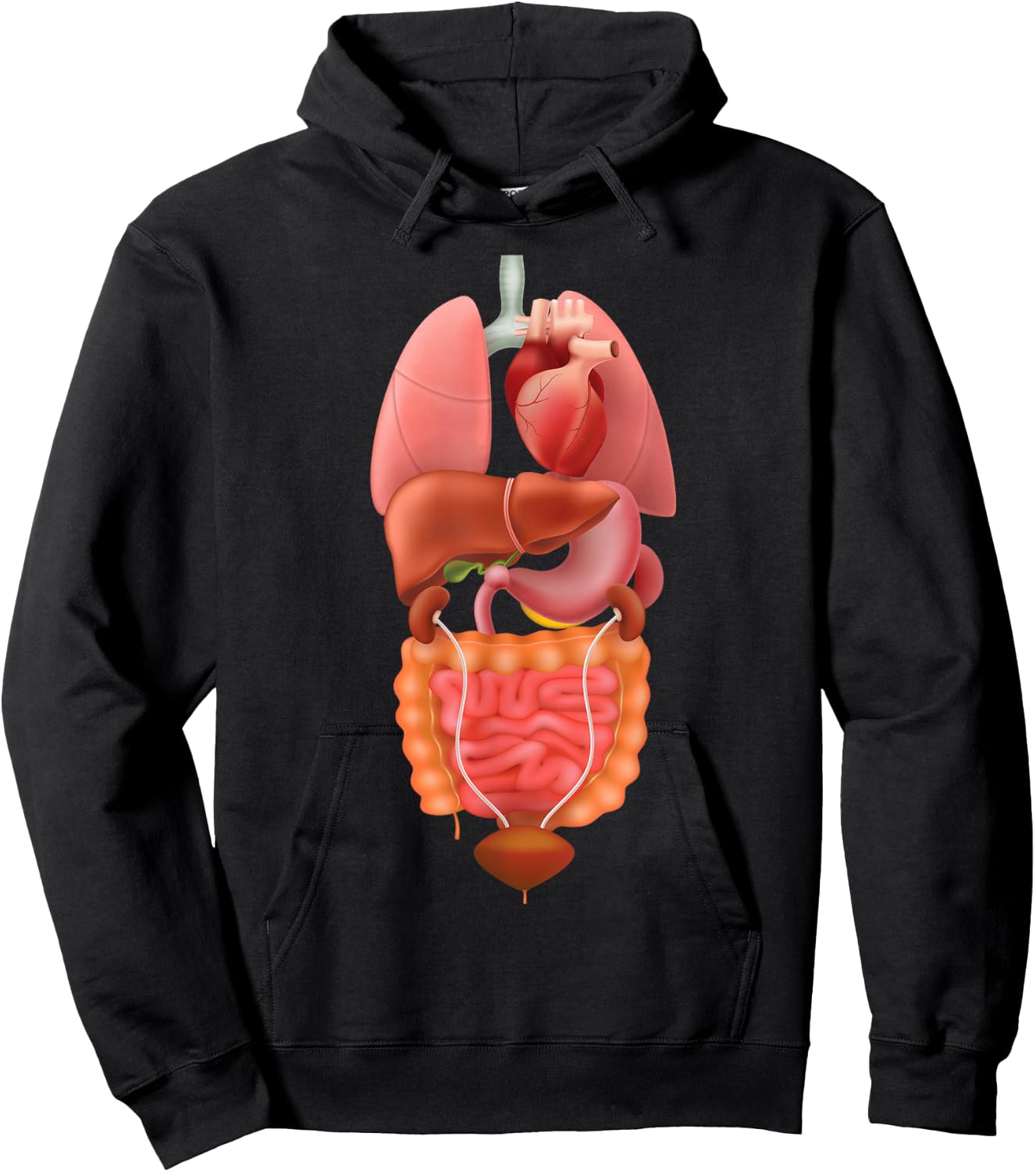 Halloween Human Body Torso Anatomy Internal Organ Fun Print Hoodie - Hoodie | Black