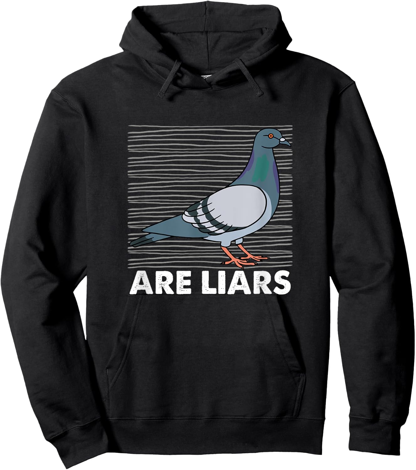 Pigeons Are Liars Aren't Real Spies Birds Pun Gift Hoodie - Hoodie | Black