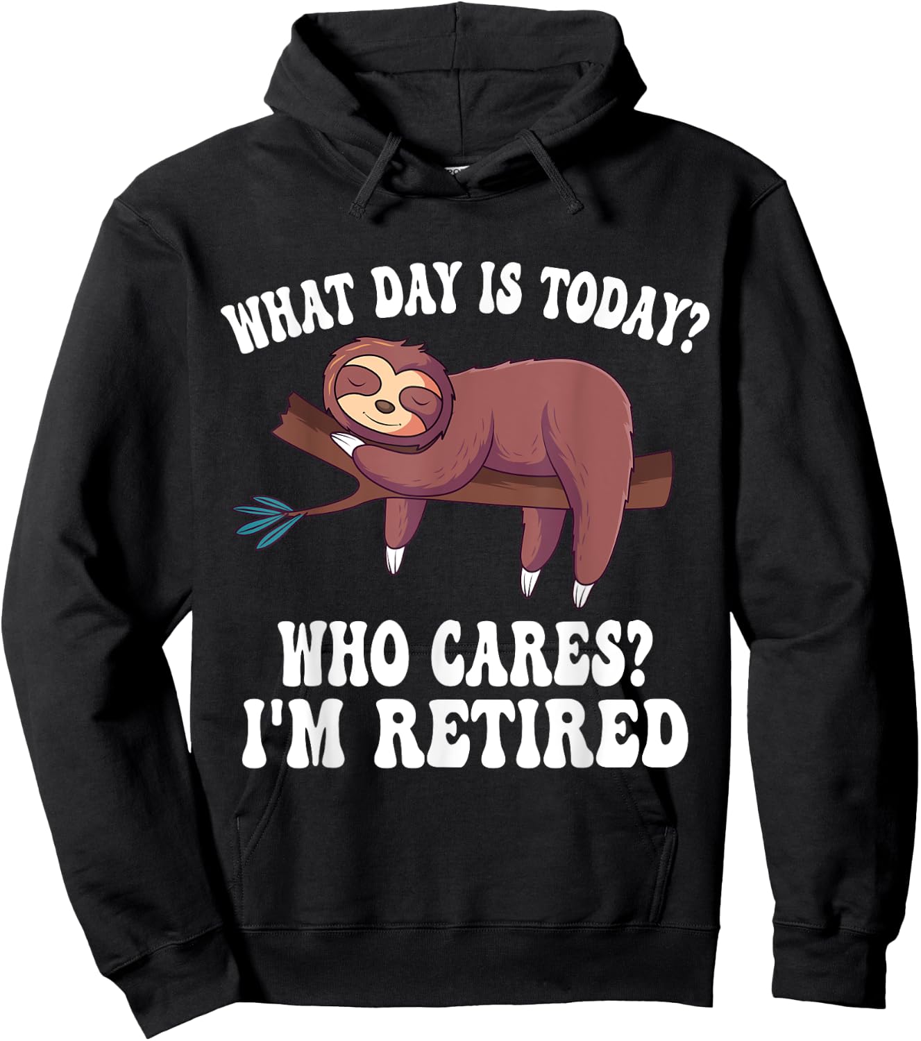 What Day Is Today Who Cares I'm Retired Sloth Retirement Hoodie - Hoodie | Black