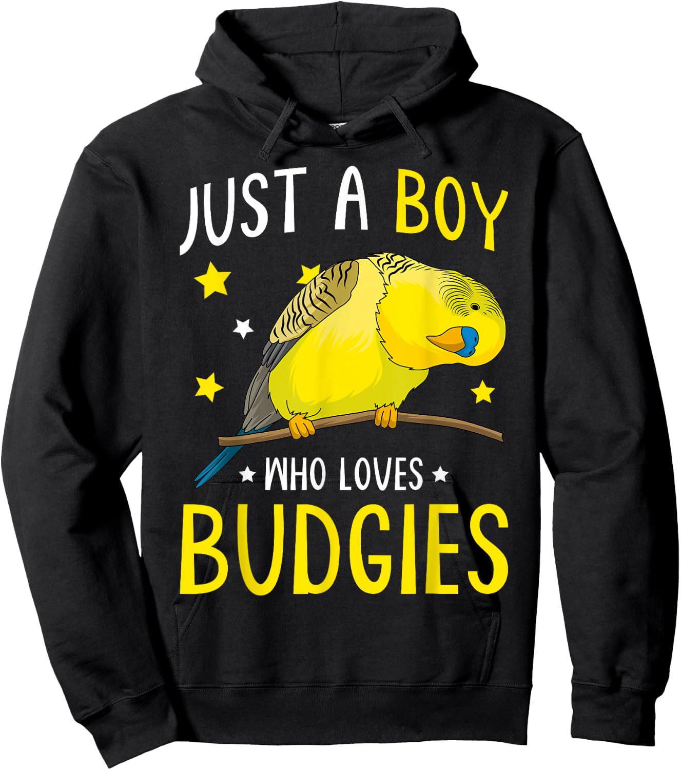 Just A Boy Who Loves Budgies Parakeet Budgerigar Boys Hoodie - Hoodie | Black