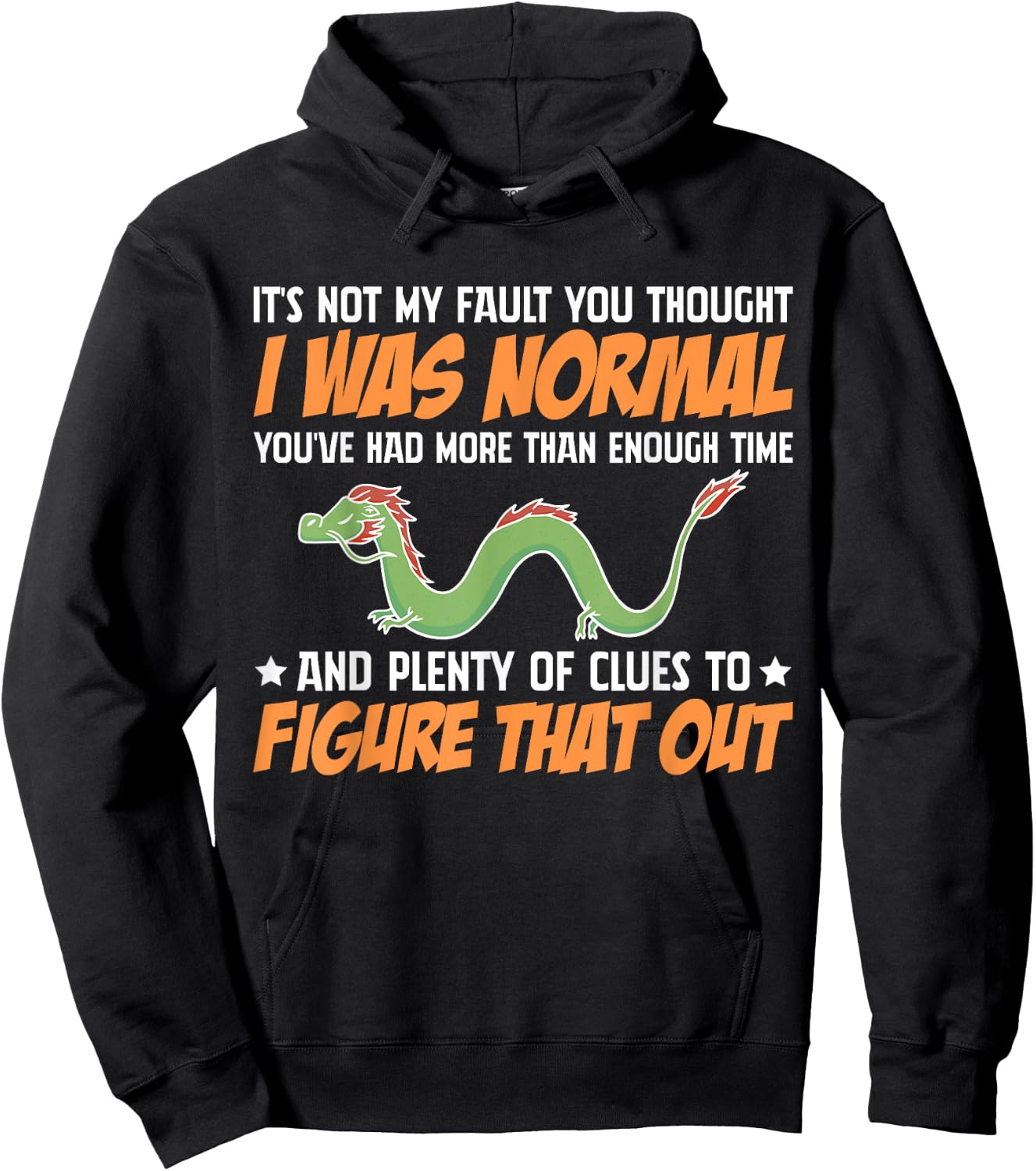 Dragon It's Not My Fault You Thought I Was Normal Hoodie - Hoodie | Black