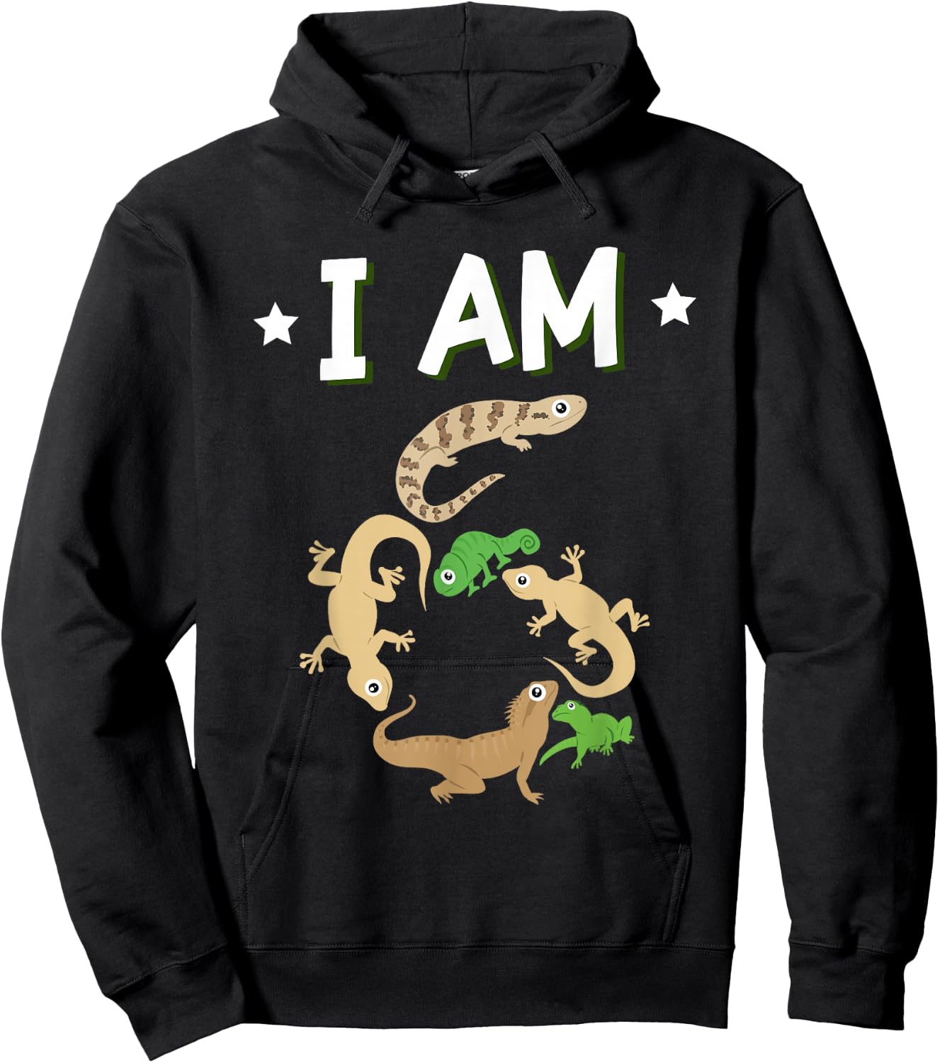 Kids 6 Years Old Reptile Lizard Themed 6th Birthday Hoodie - Hoodie | Black