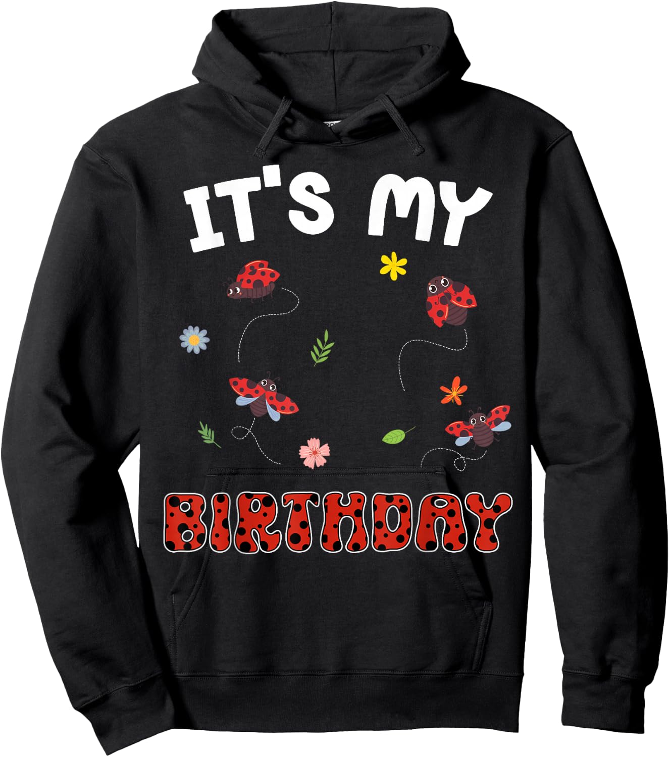Cute It's My Birthday Ladybug Lovers Hoodie - Hoodie | Black