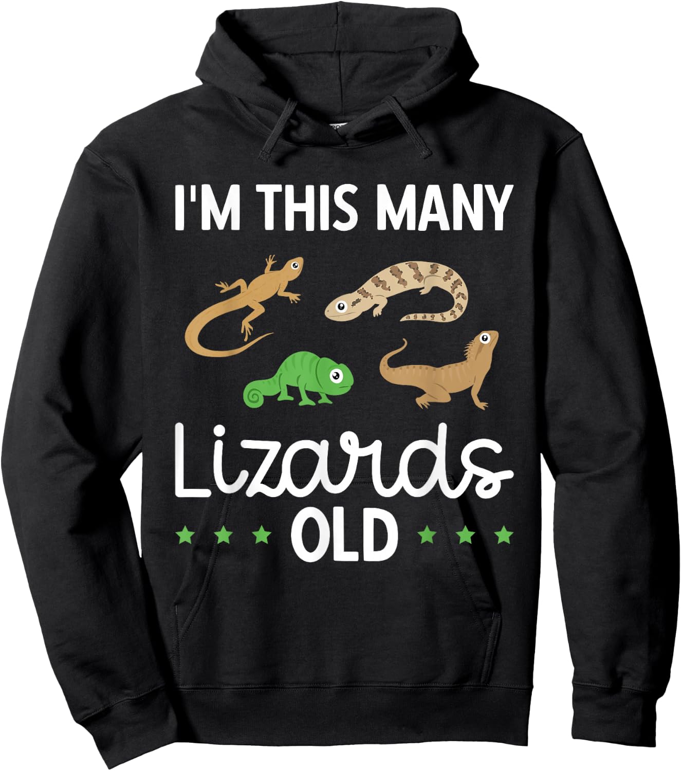 Children's Reptile Lizard Birthday Hoodie - Hoodie | Black