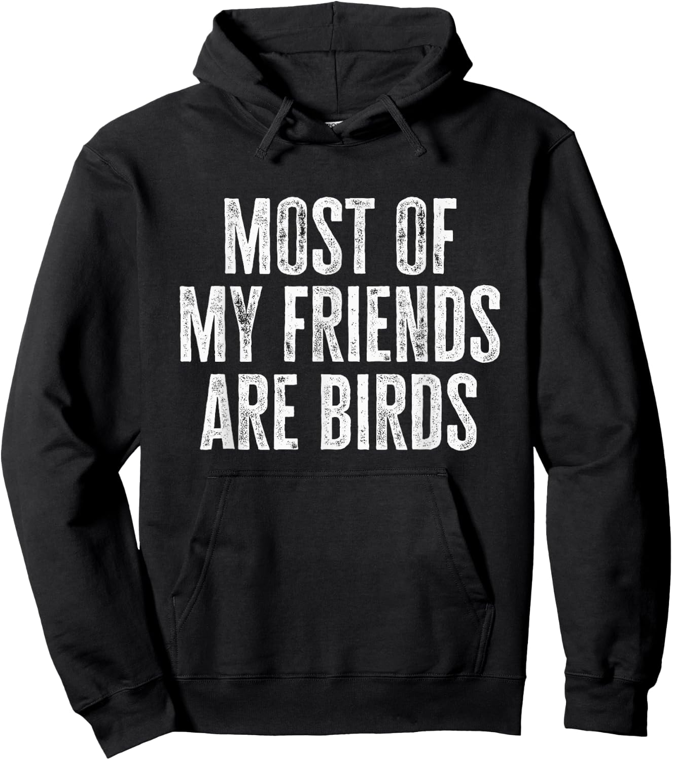 Most of My Friends Are Birds Funny Birds Hoodie - Hoodie | Black