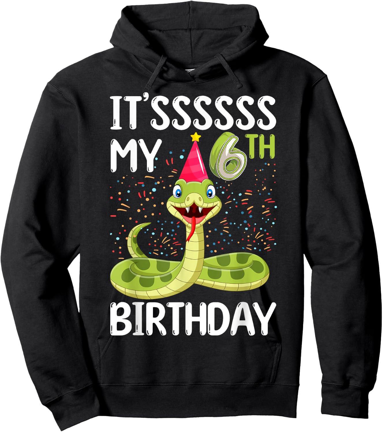 6th Birthday snake Party 6 Year Old snake lover B-day Hoodie - Hoodie | Black