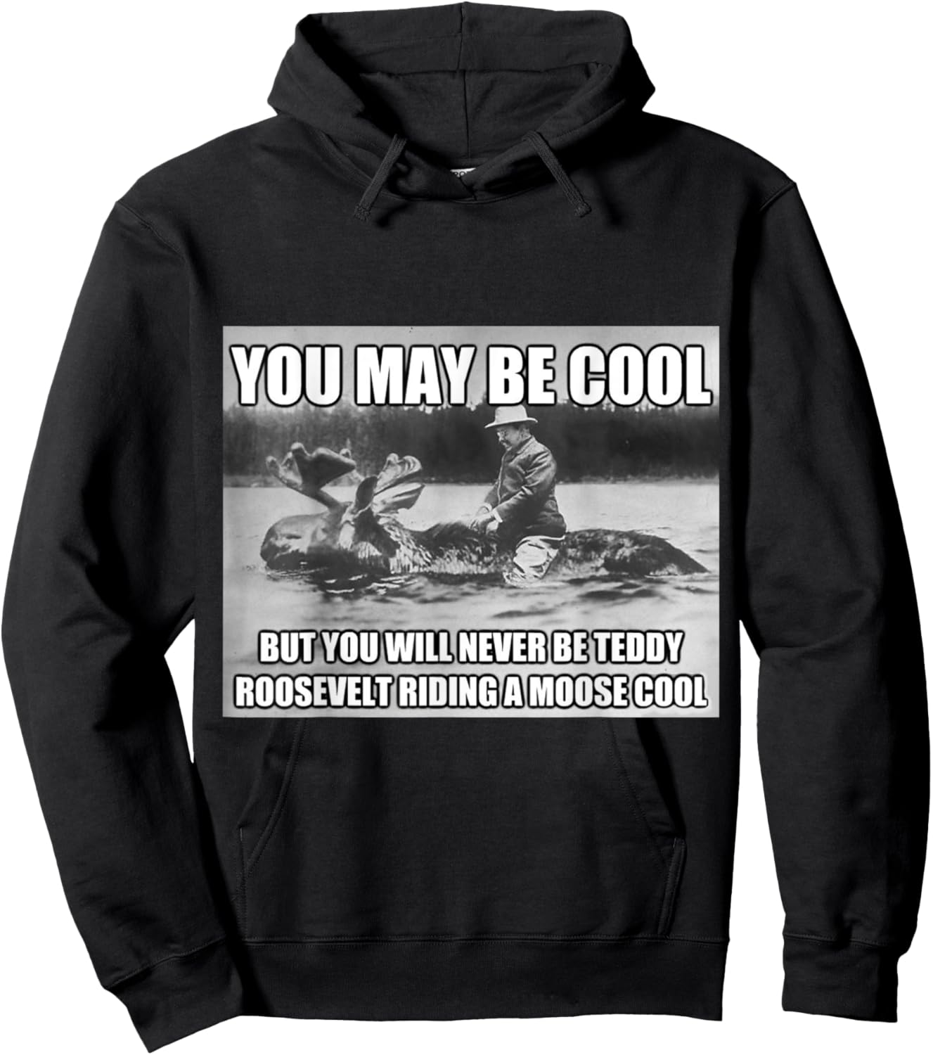 Funny Hipster Theodore Teddy Roosevelt Meme T Shirt Hoodie - Hoodie | Black
