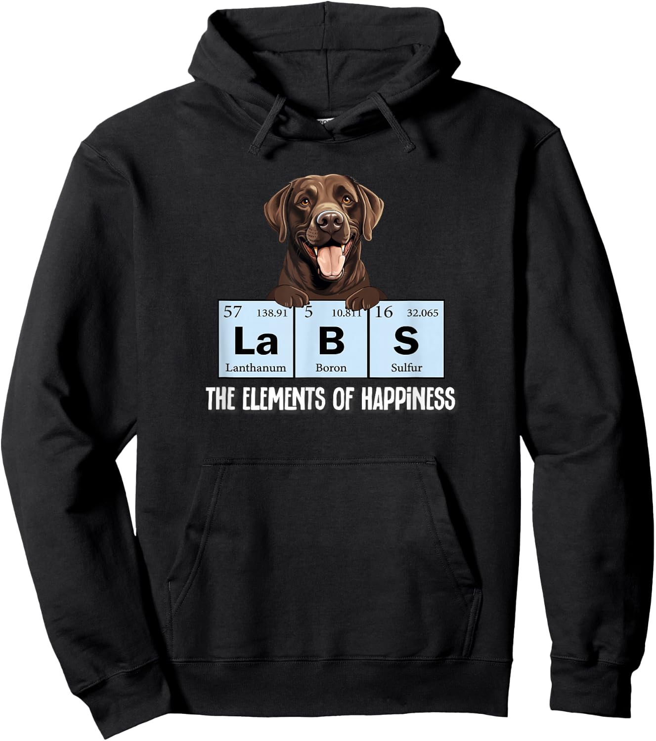 Kids Labs Element of Happiness Chocolate Lab Hoodie - Hoodie | Black