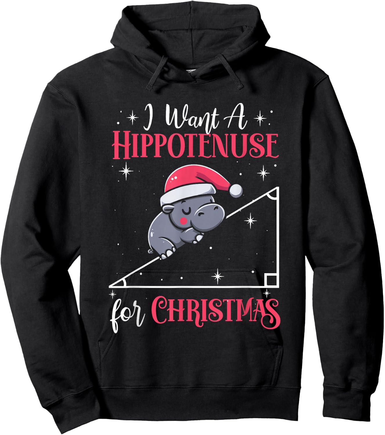 I Want A Hippotenuse For Christmas Funny Math Hippopotamus Hoodie - Hoodie | Black