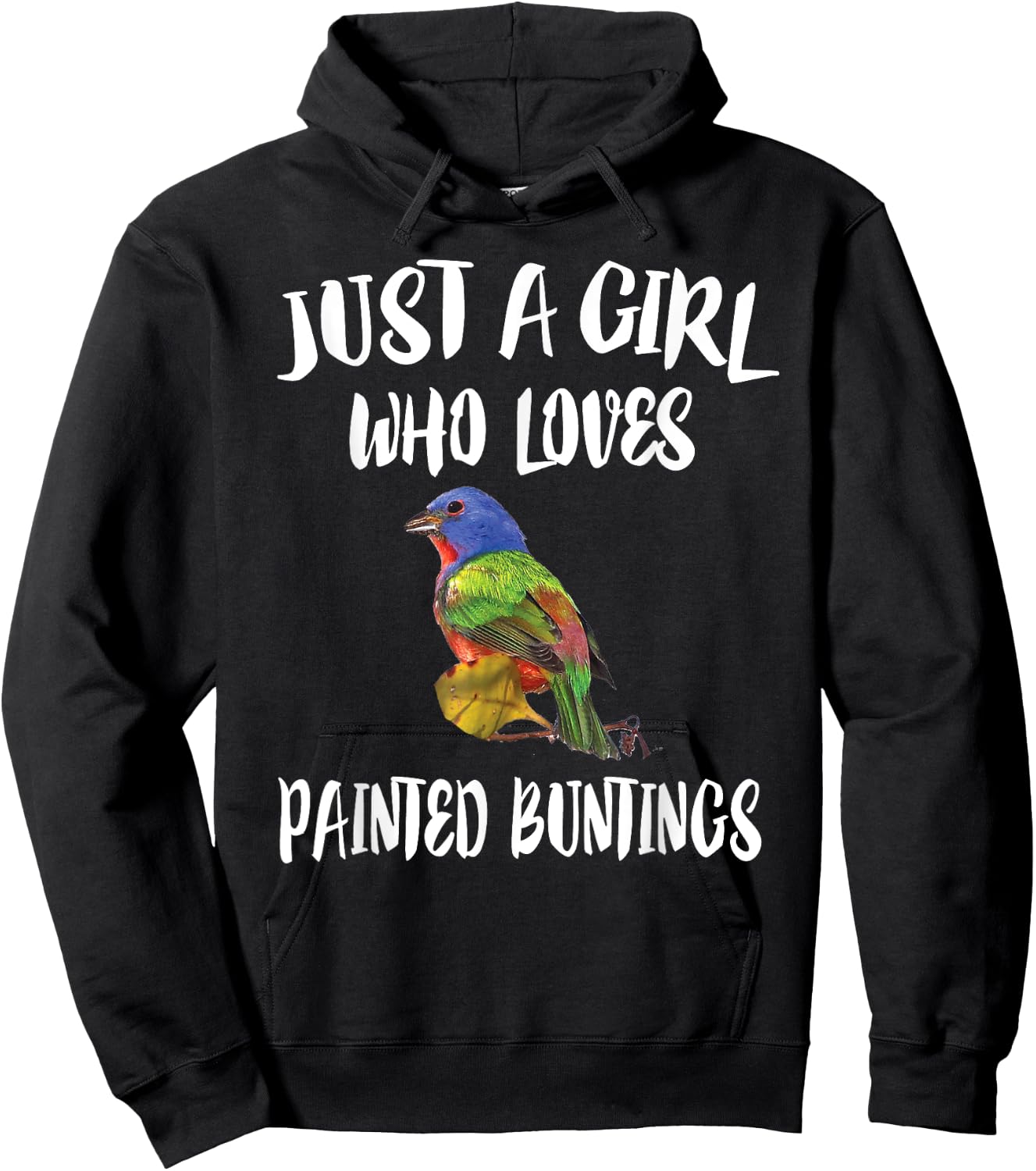 Just A Girl Who Loves Painted Buntings Bird Animal Gift Hoodie - Hoodie | Black