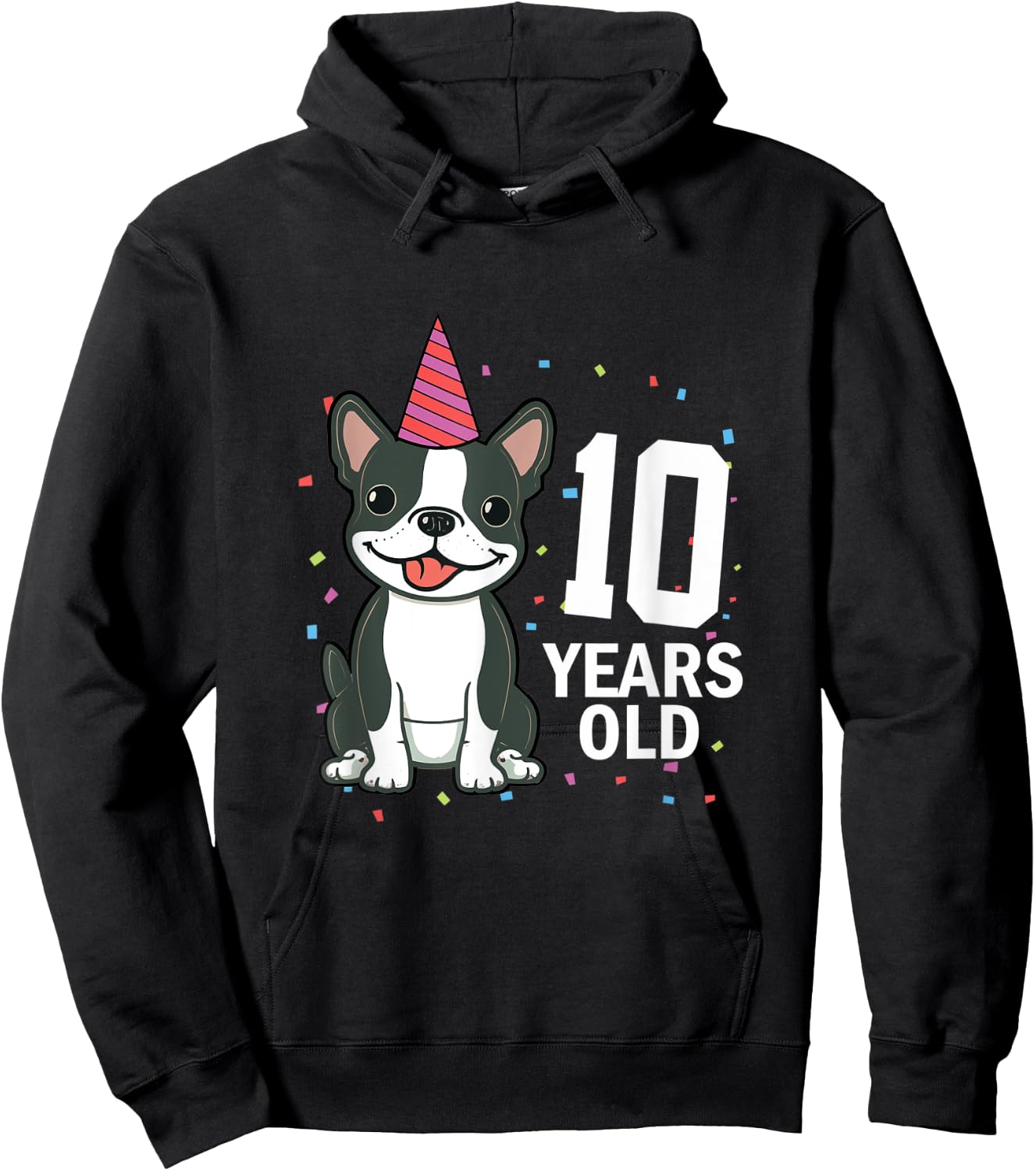 10 Years Old Birthday Boston Terrier Dog Lover 10th Party Women Kids Hoodie - Hoodie | Black
