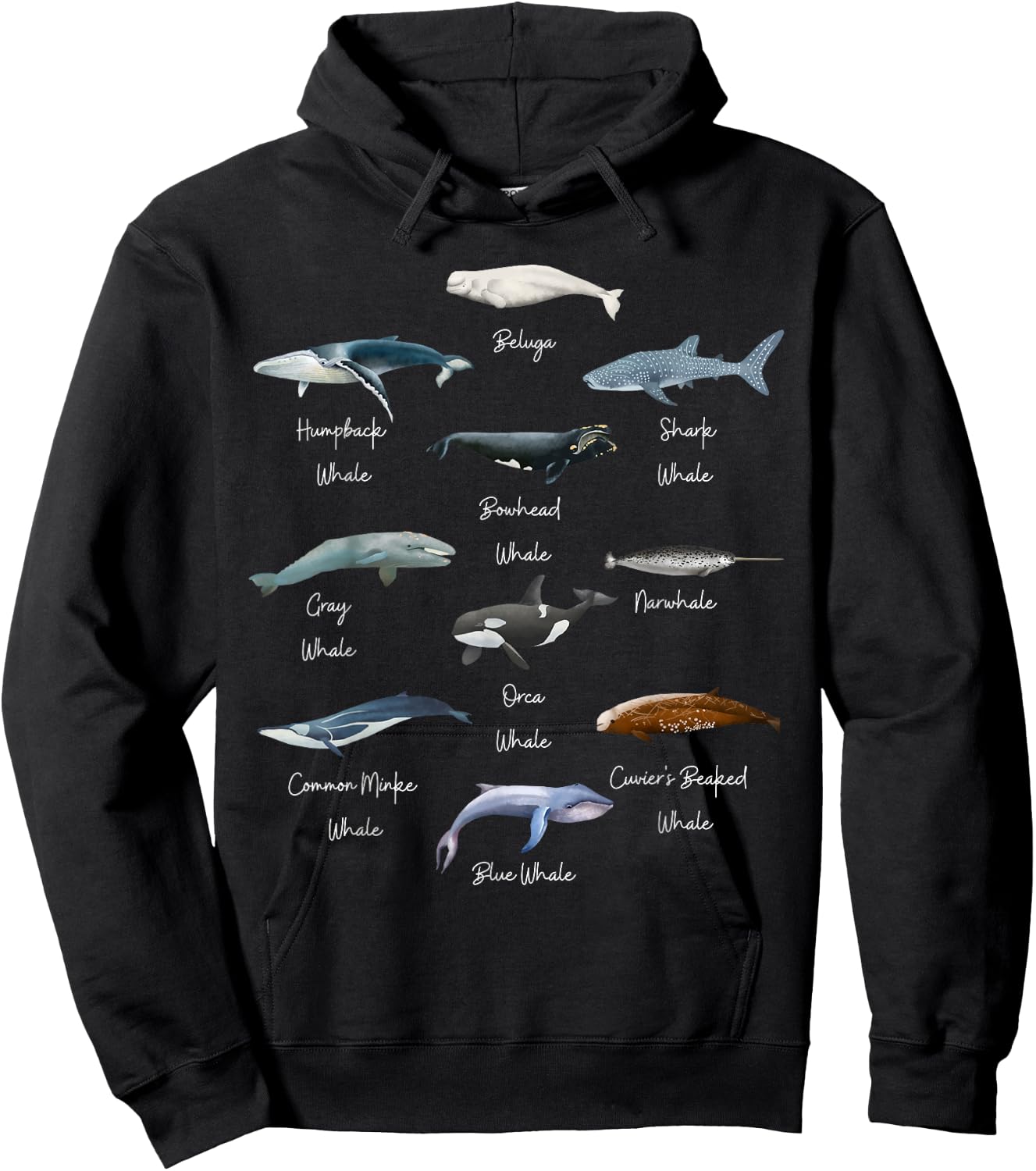 Types Of Whales Watercollor Cute Ocean Mammals Guide Hoodie - Hoodie | Black