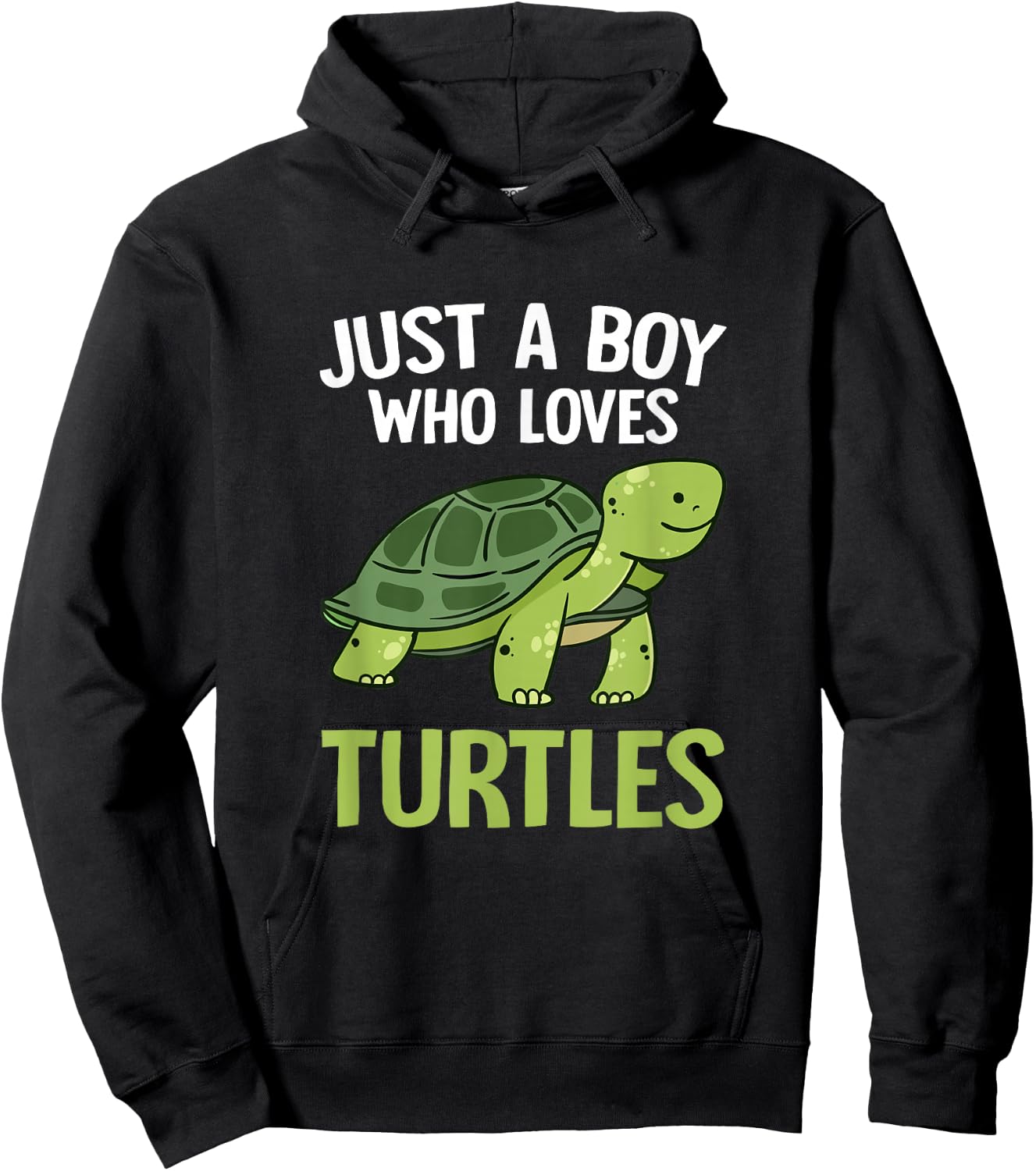 Just A Boy Who Loves Turtles Boys Toddler Tortoise Lover Hoodie - Hoodie | Black