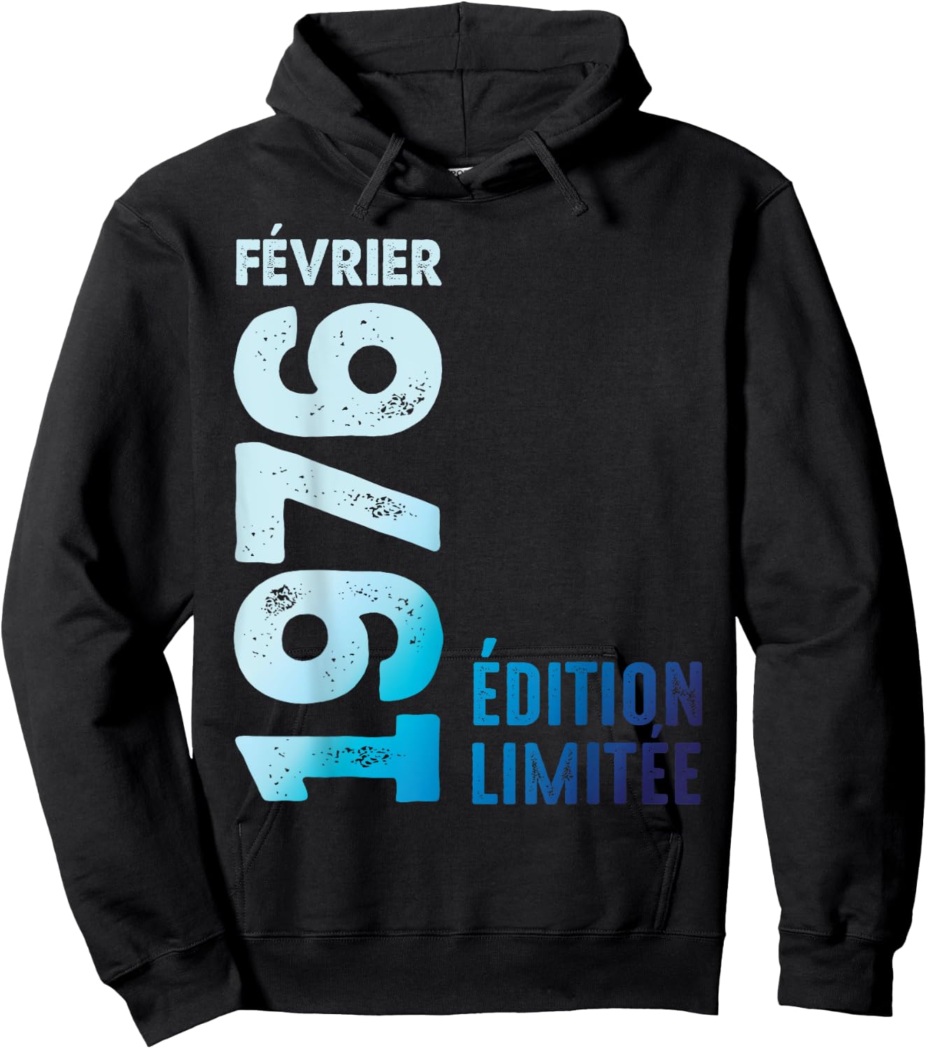 Limited Edition February 1976 Hoodie - Hoodie | Black