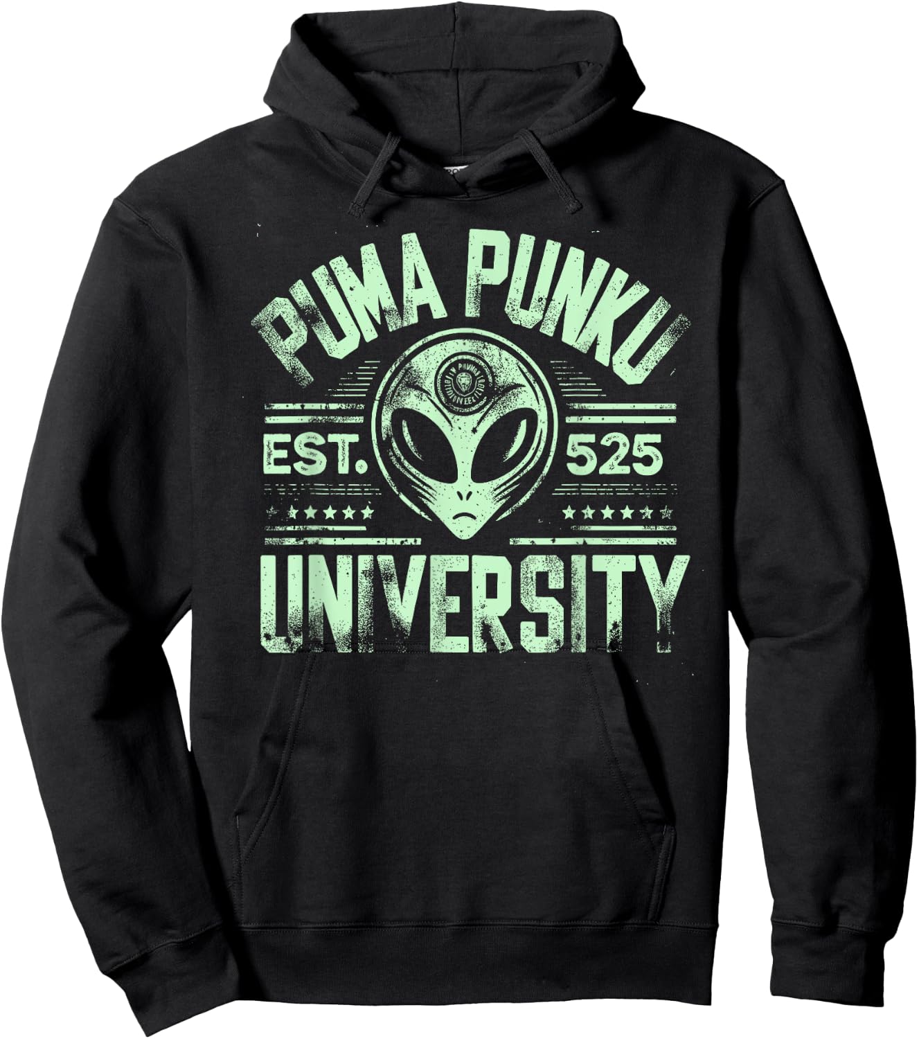 Puma Punku University, Ancient Astronaut Theorist Alien Hoodie - Hoodie | Black