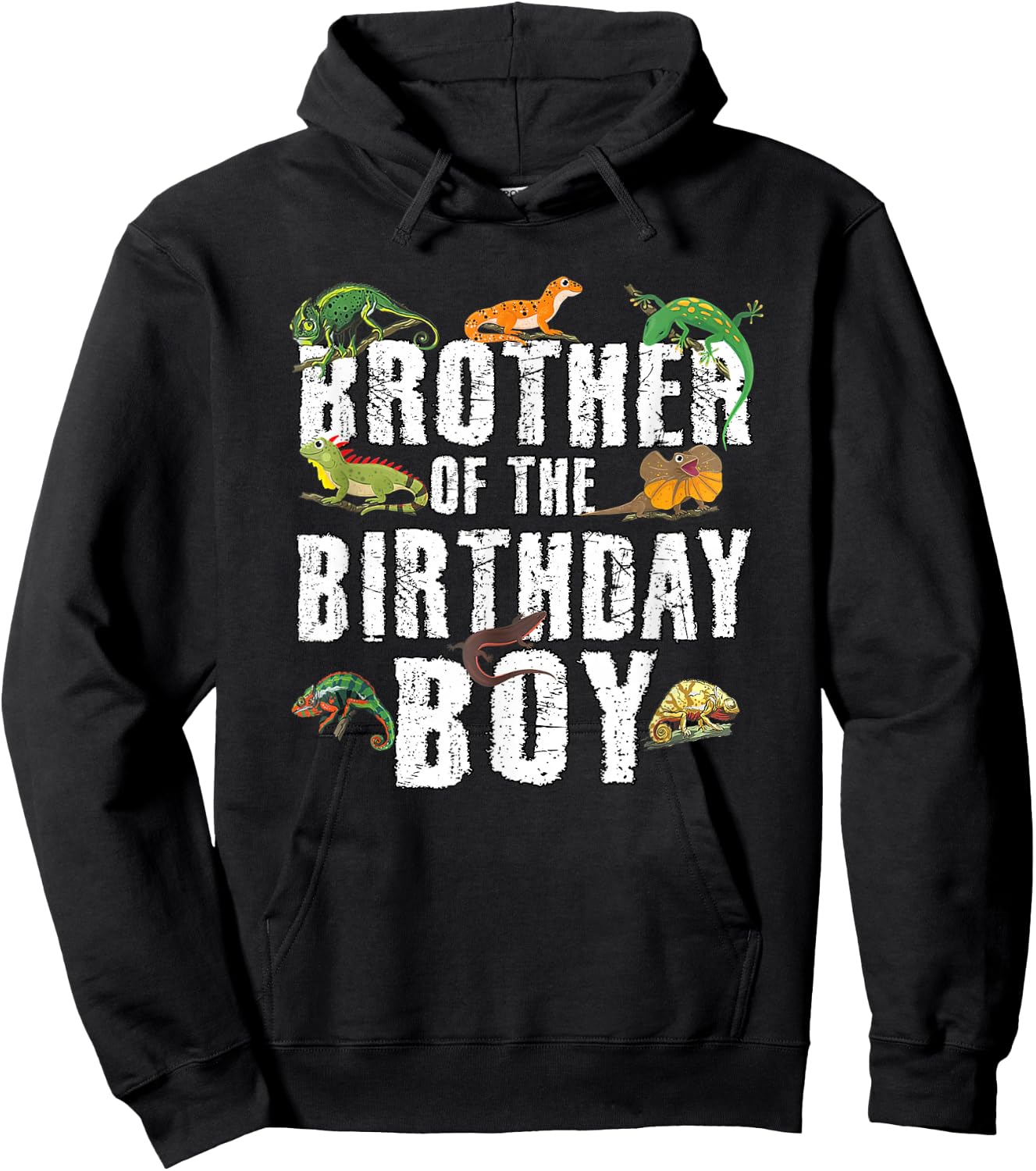 Brother of The Birthday Boy Reptiles Lizard Themed Party Hoodie - Hoodie | Black