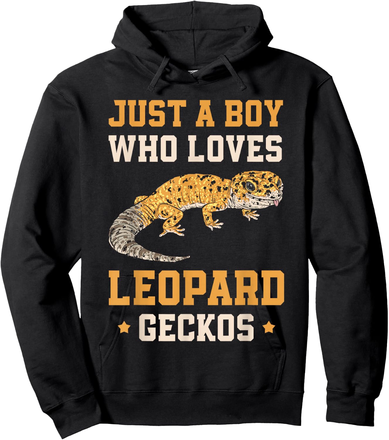 Just A Boy Who Loves Leopard Geckos Hoodie - Hoodie | Black