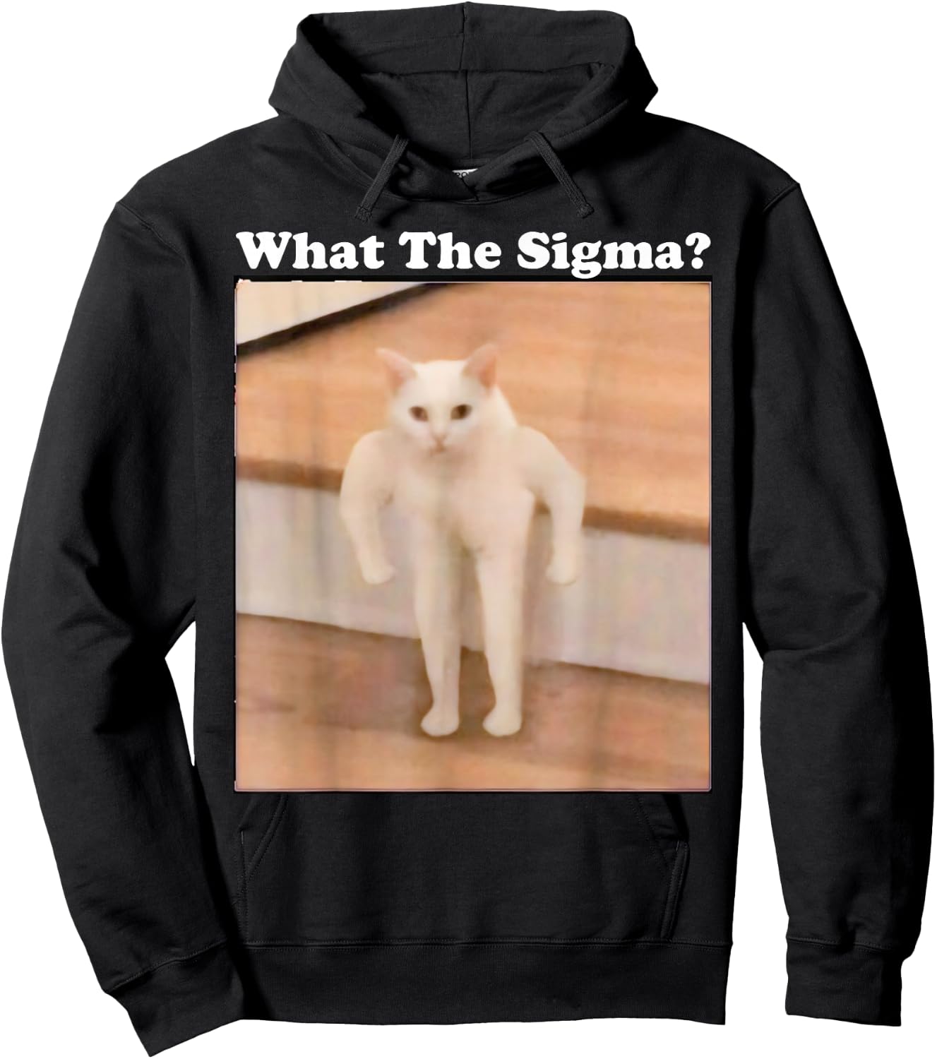 What Sigma Meme Cat Meme Internet Memes Funny Meme Gen Z Pun Hoodie - Hoodie | Black