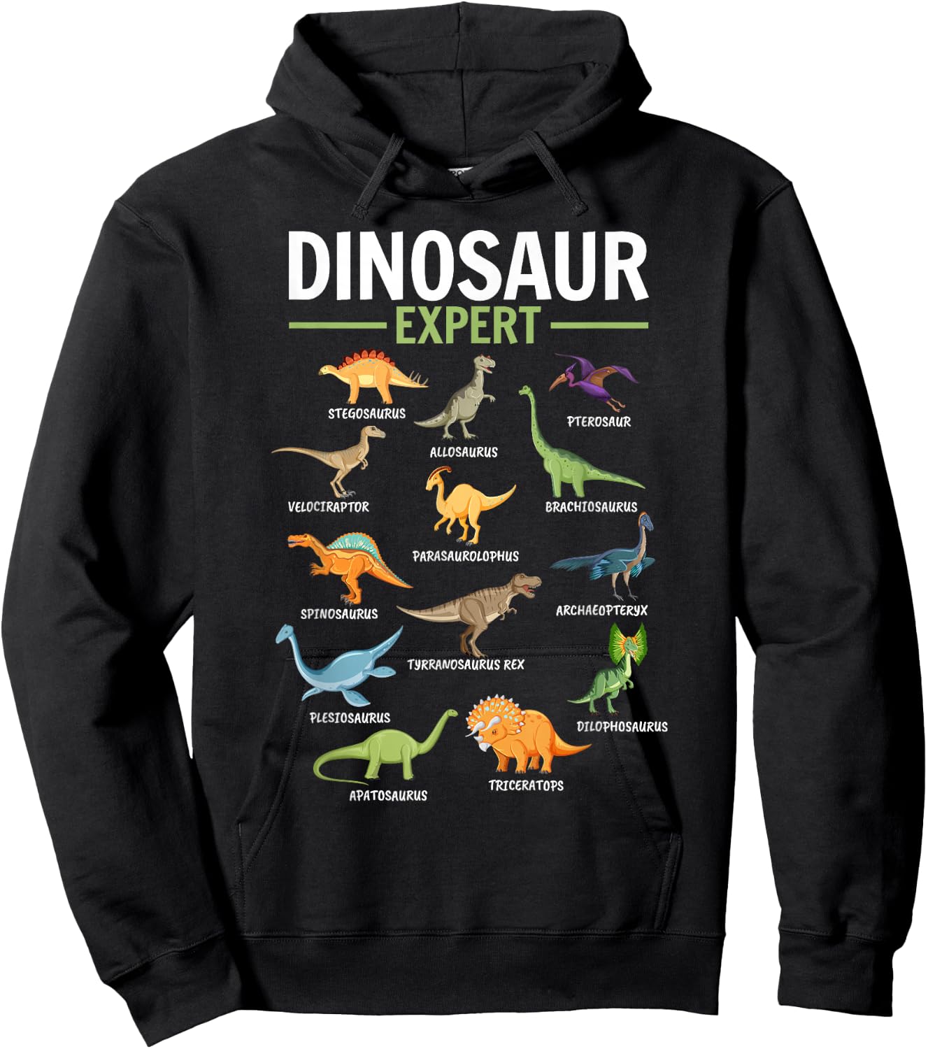 Dino Dinosaur Expert Hoodie - Hoodie | Black