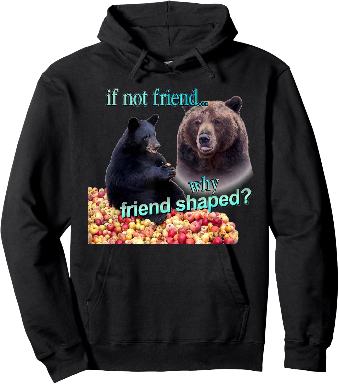 If Not Friend Why Friend Shaped Funny Bear Lover Saying Hoodie - Hoodie | Black