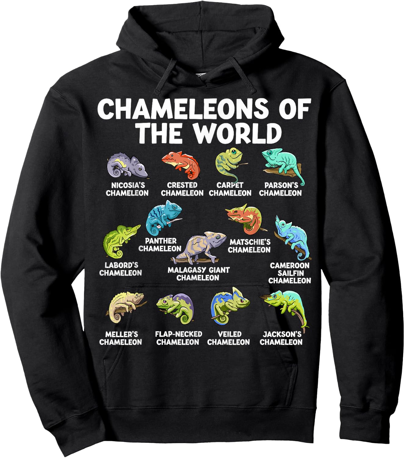 Chameleons Of The World Kawaii Types Of Chameleons Reptile Hoodie - Hoodie | Black