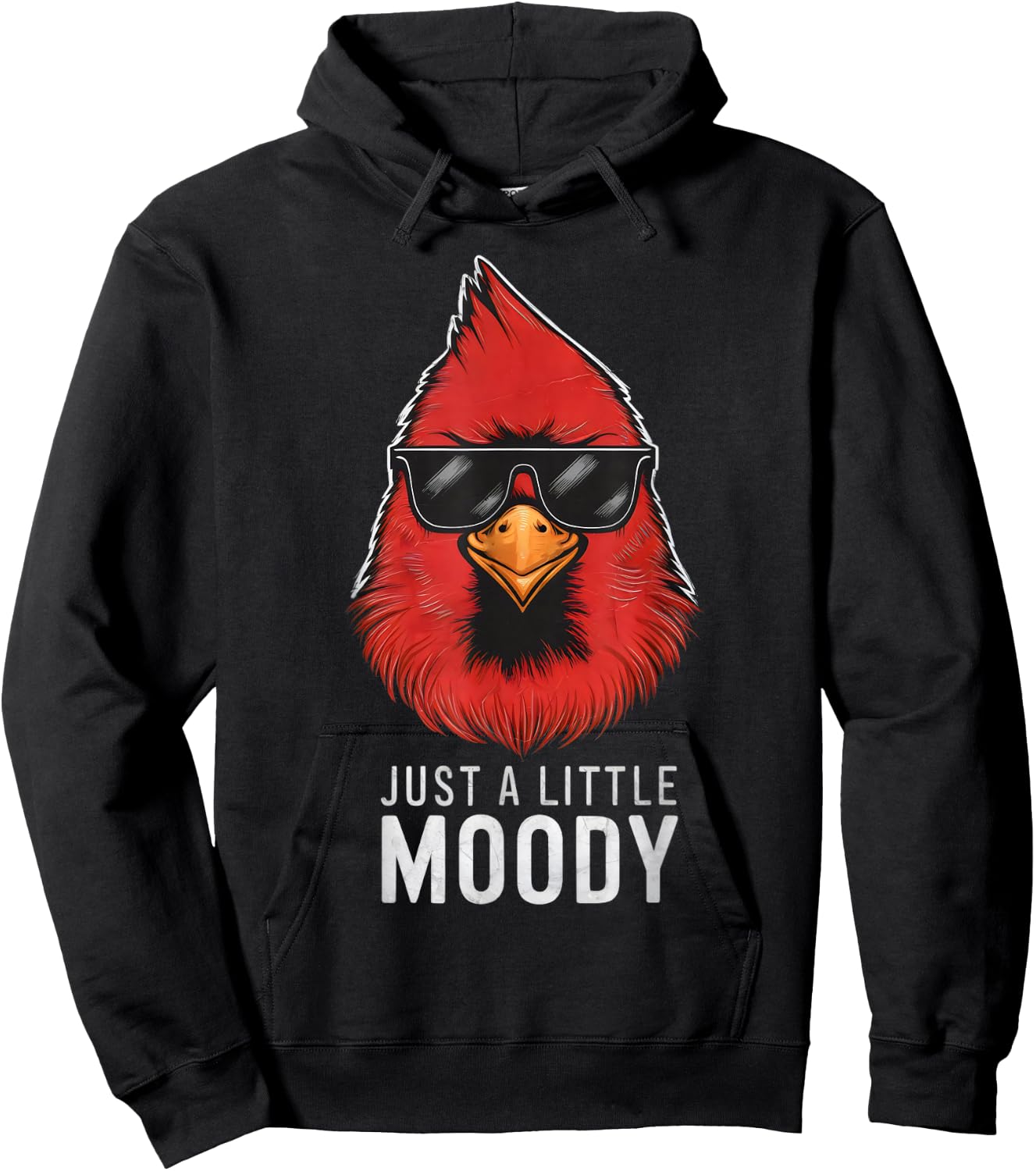 Funny Red Cardinal Bird Lover With Sunglasses Hoodie - Hoodie | Black