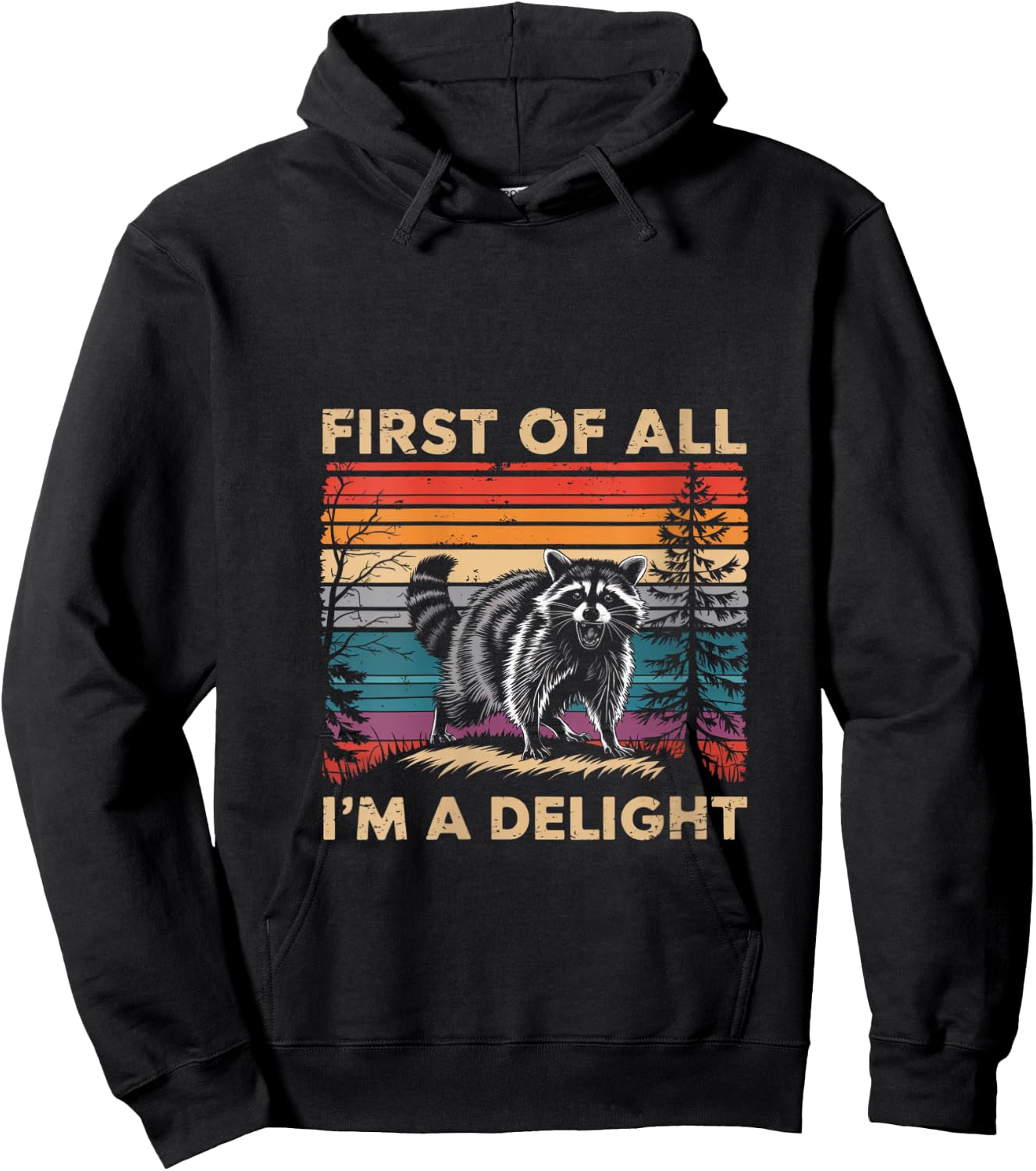 Raccoon First Of All Im A Delight Racoon Gifts Women V-Neck Hoodie - Hoodie | Black