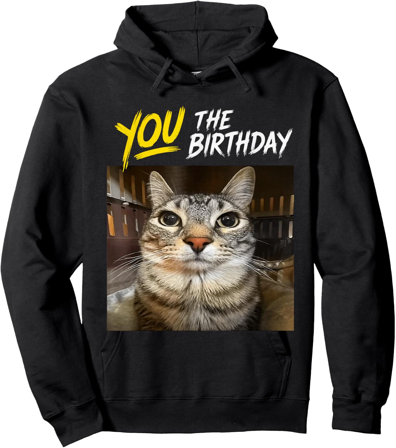 You The Birthday Funny Gen Z Slang Meme Cat Hoodie - Hoodie | Black