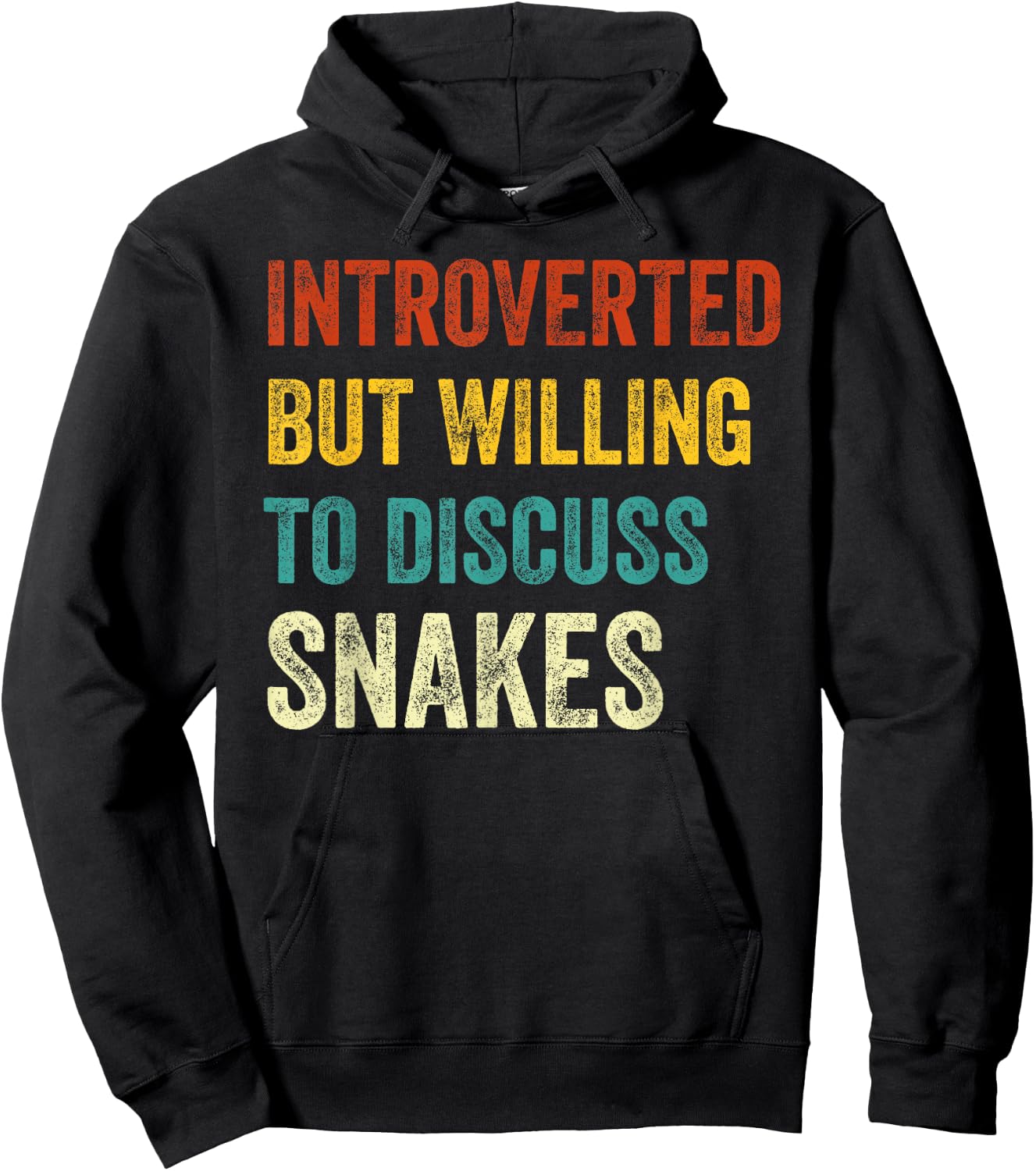 Introverted But Willing To Discuss Snakes Lover Retro Hoodie - Hoodie | Black