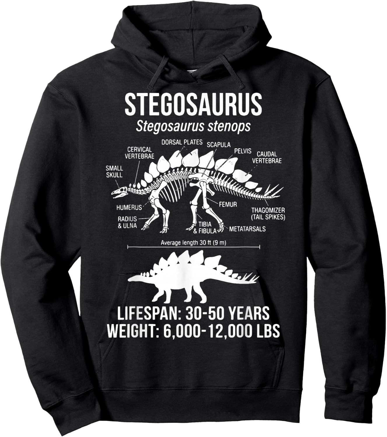 Stegosaurus Diagram Hoodie - Hoodie | Black
