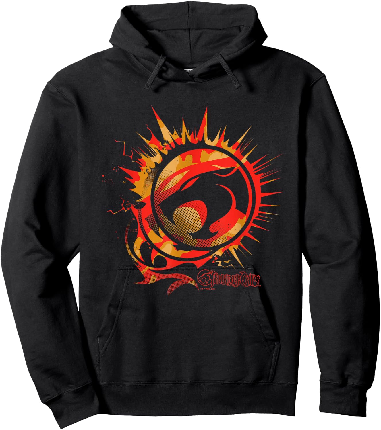 Thundercats Thundercats Logo on Fire Hoodie - Hoodie | Black