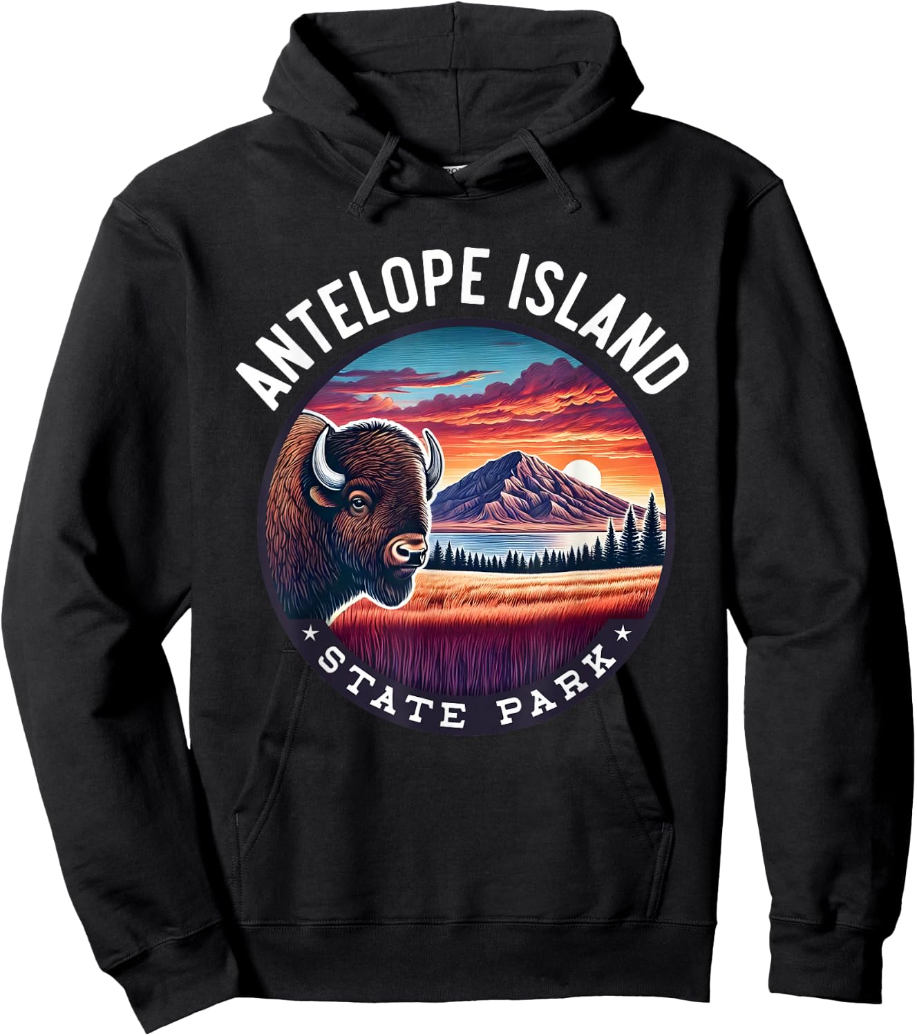 Antelope Island State Park Hiking Souvenir Bison Outdoor Hoodie - Hoodie | Black