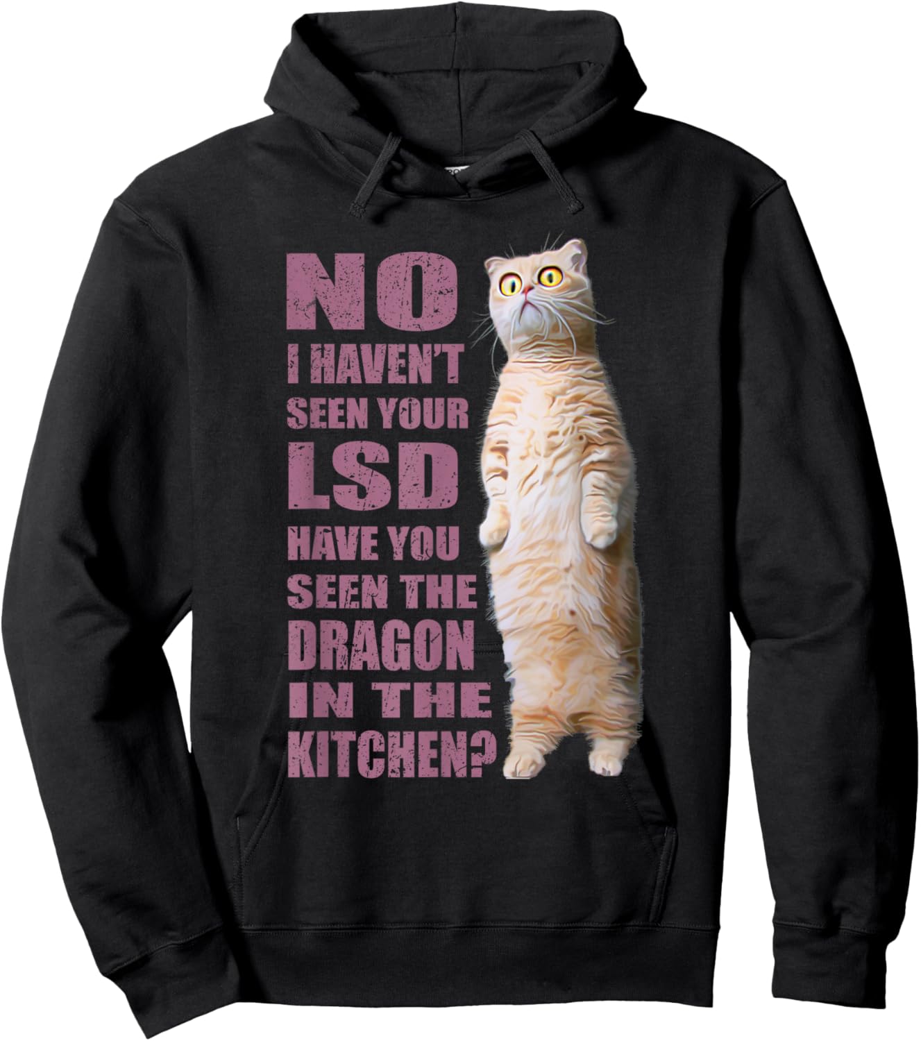 No I Haven't Seen Your LSD ~ Funny Cat Men Women Hoodie - Hoodie | Black