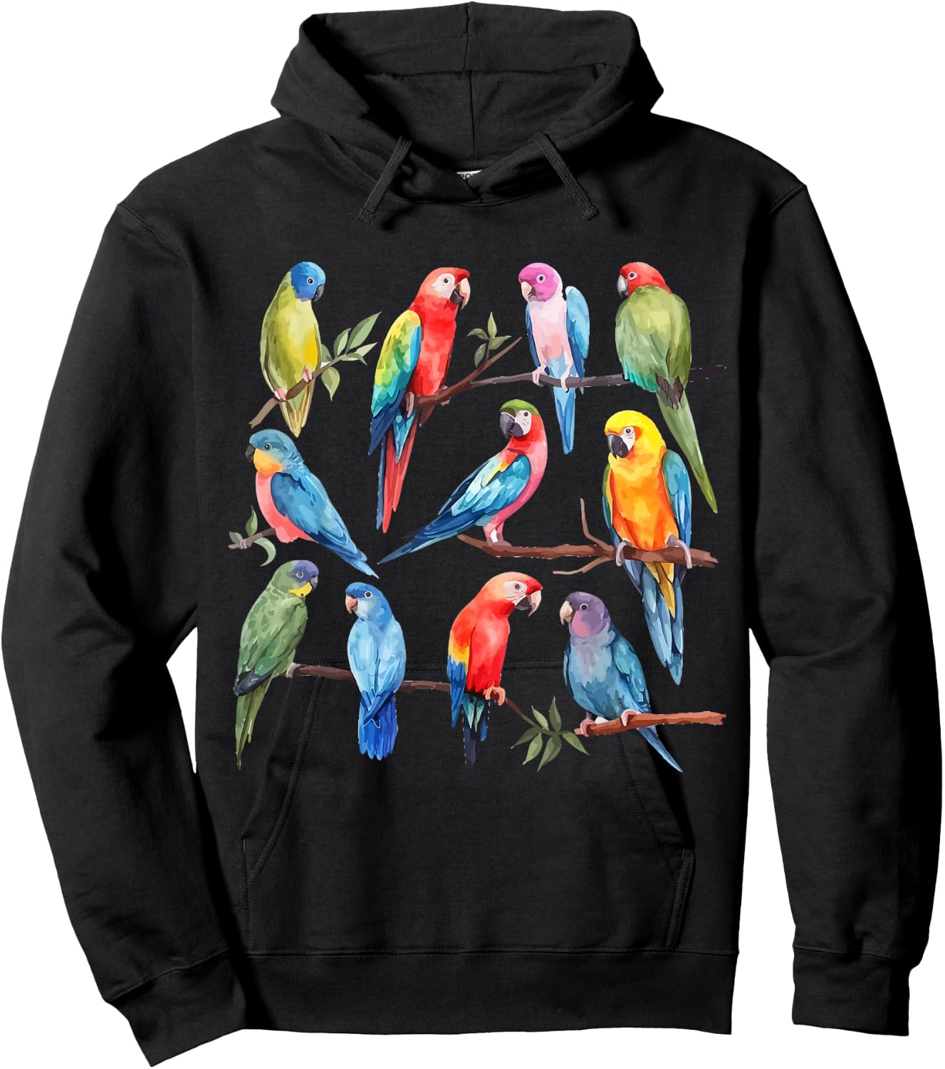 Colorful Parrot Watercolor Hoodie - Hoodie | Black