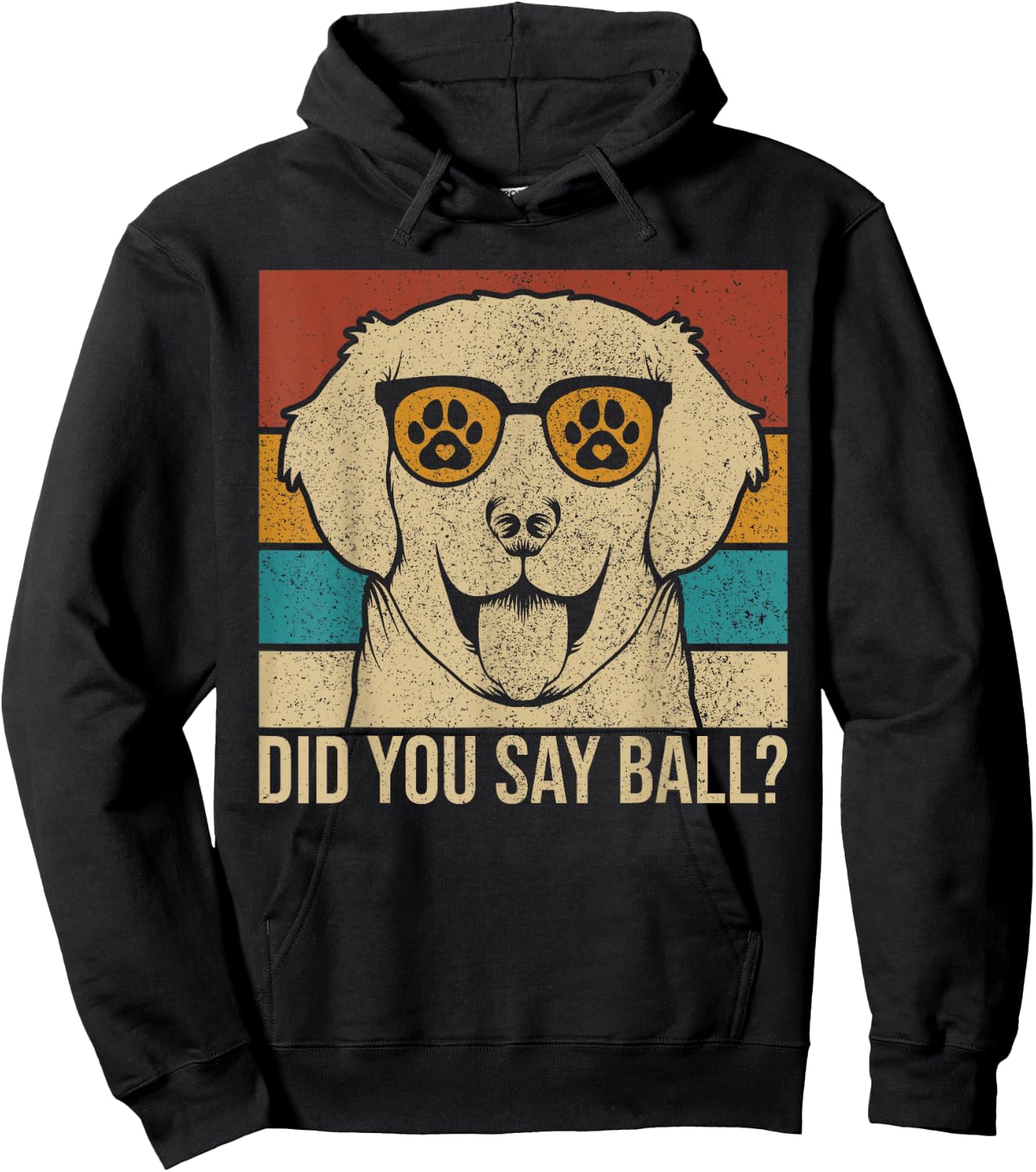 Did You Say Ball? Dog Lover Lab Owner Pet Labrador Retriever Hoodie - Hoodie | Black