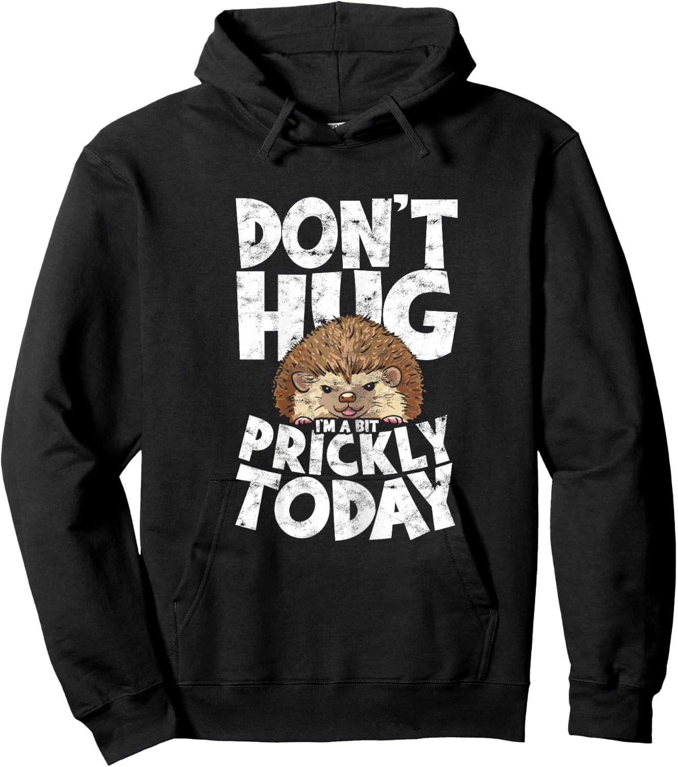 Don't Hug I'm A Bit Prickly Today Sweet Hedgehog Hugger Hoodie - Hoodie | Black