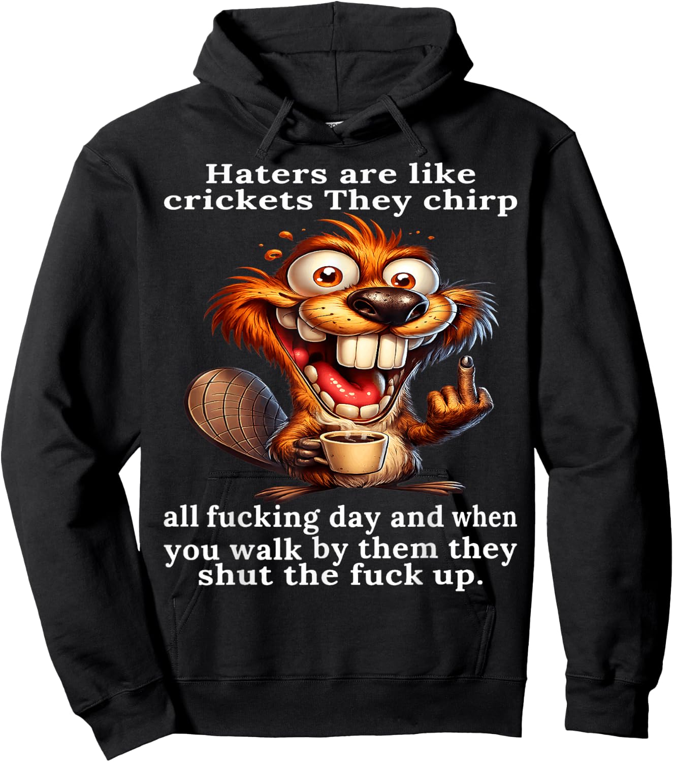 Haters are Like Crickets They Chirp All Fcking Day and When Hoodie - Hoodie | Black