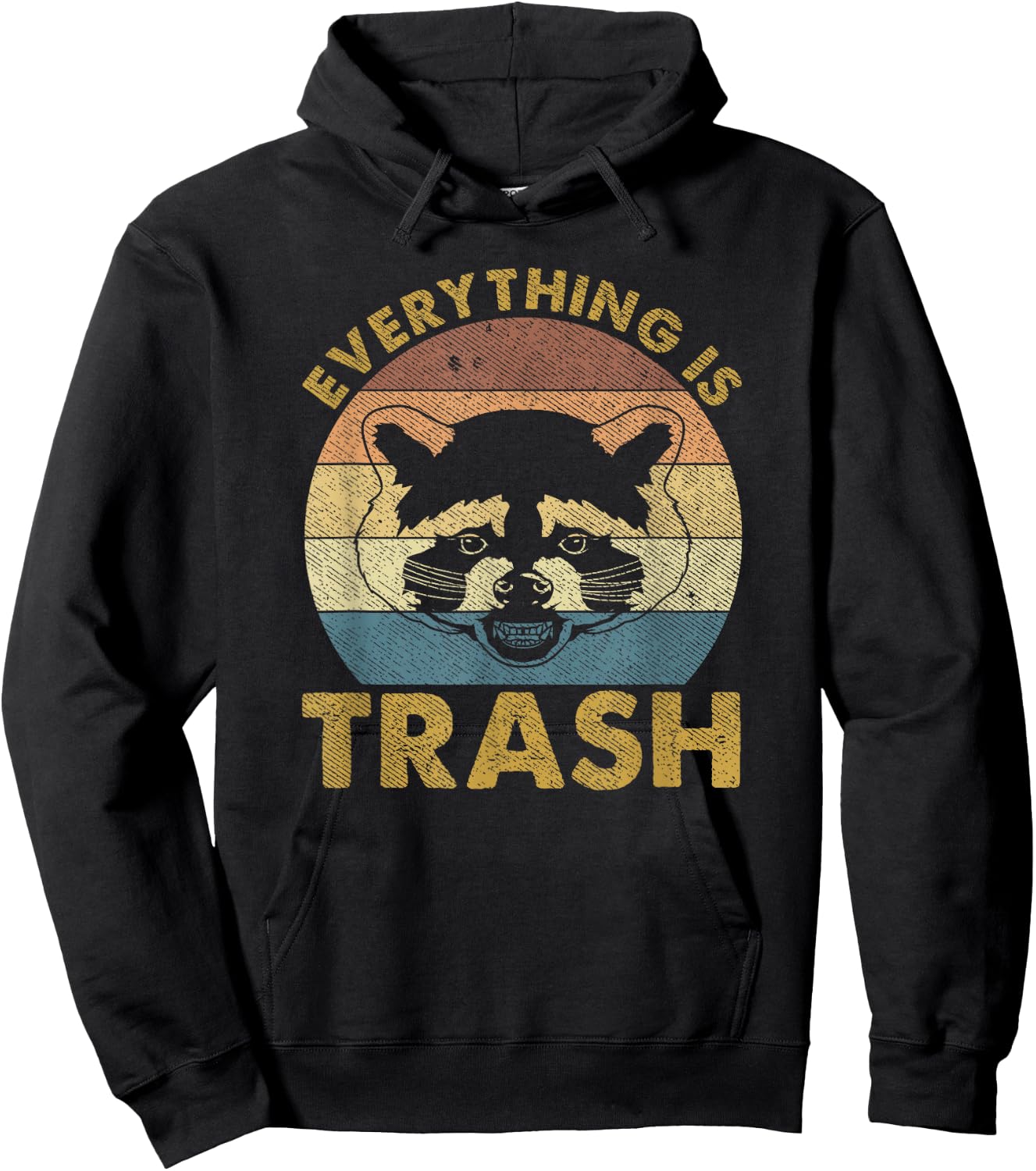 Everything Is Trash Vintage Raccoon Lovers Hoodie - Hoodie | Black