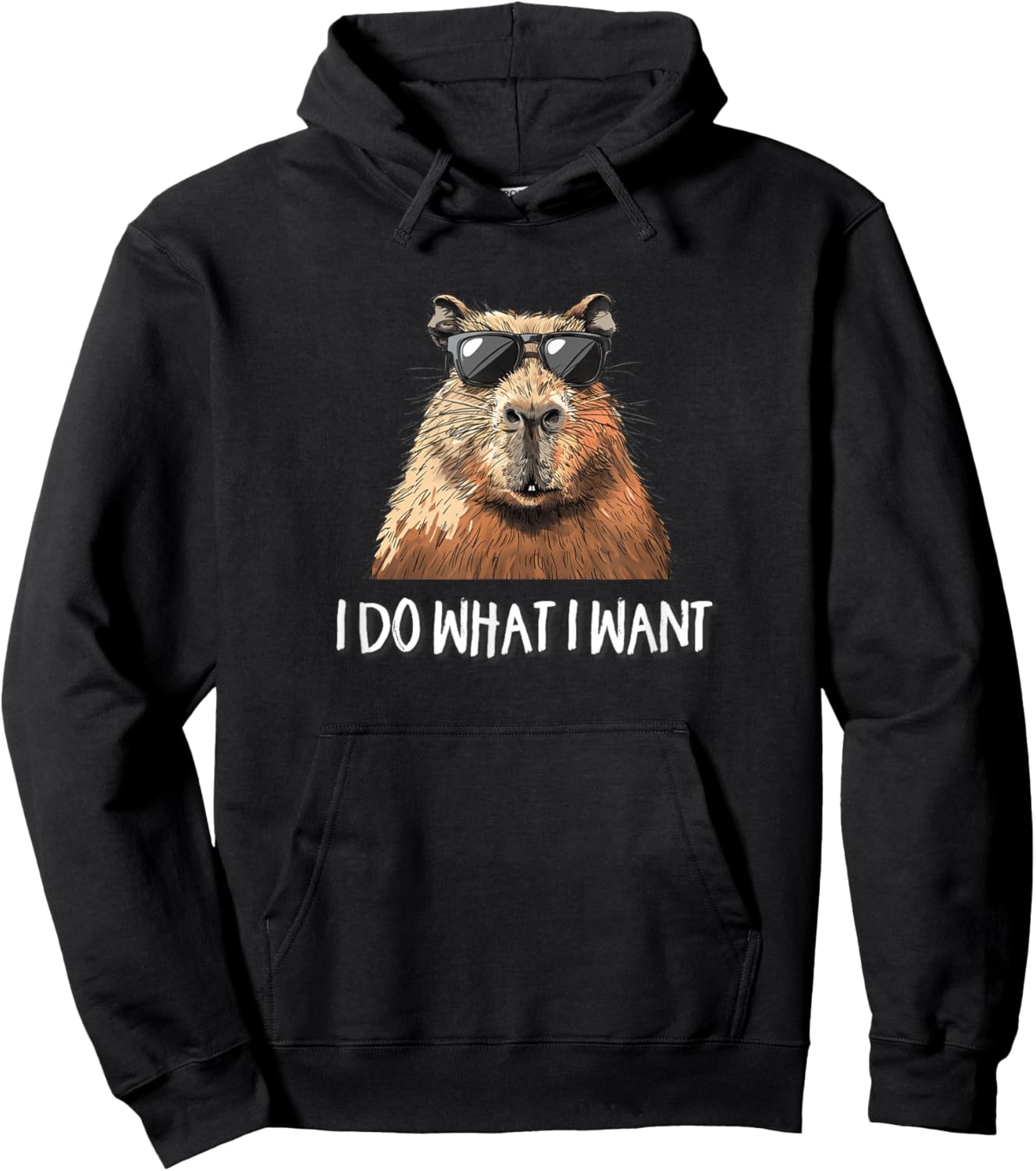Meme Lover Sunglasses I Do What I Want Capybara Lover Hoodie - Hoodie | Black