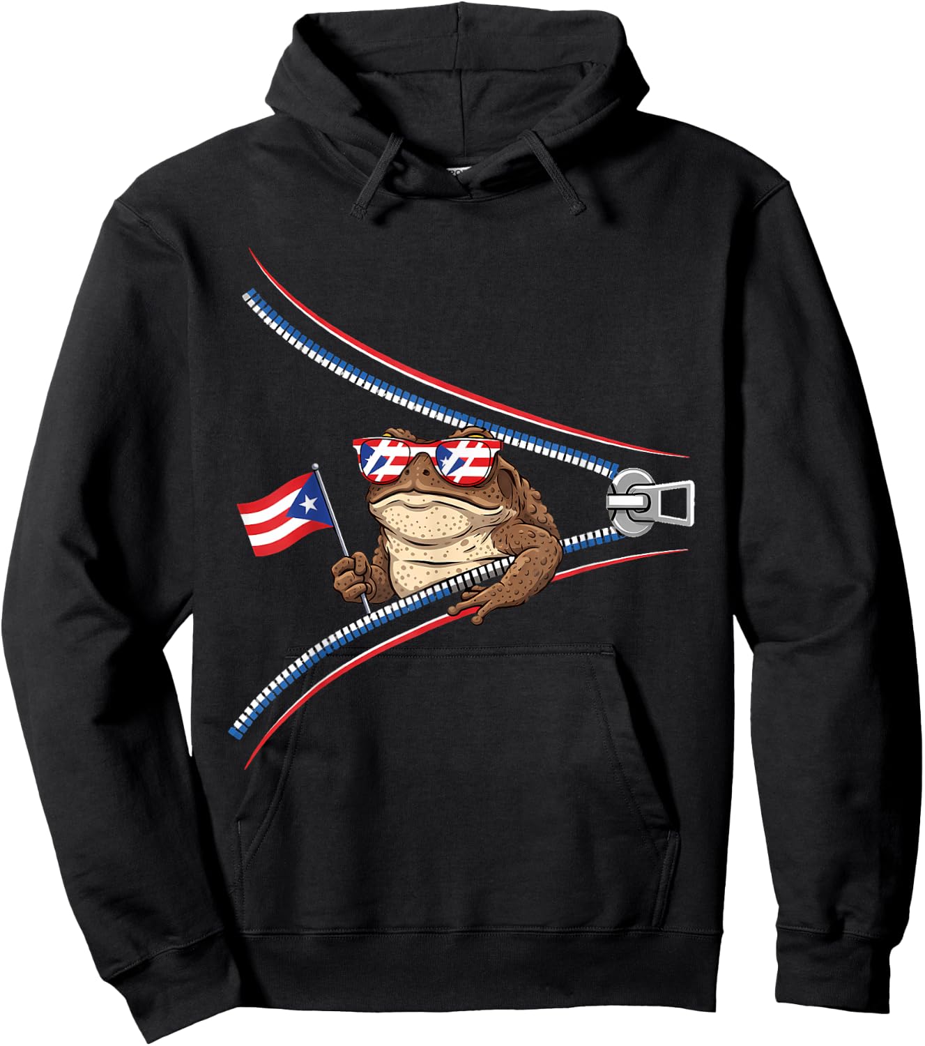 Coqui Frog Puerto Rico Flag Puerto Rican Taino Boricua Hoodie - Hoodie | Black