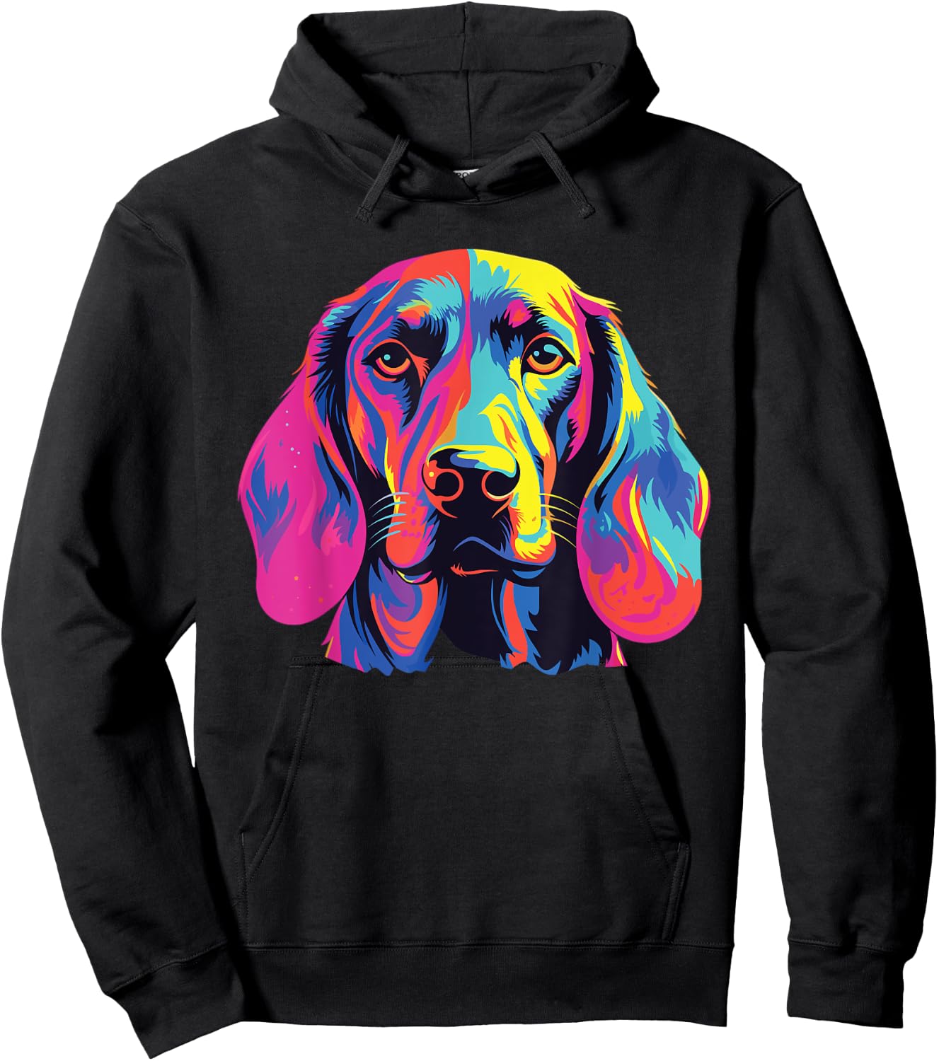 Watercolor Colorful Bavarian Mountain Scent Hound Hoodie - Hoodie | Black